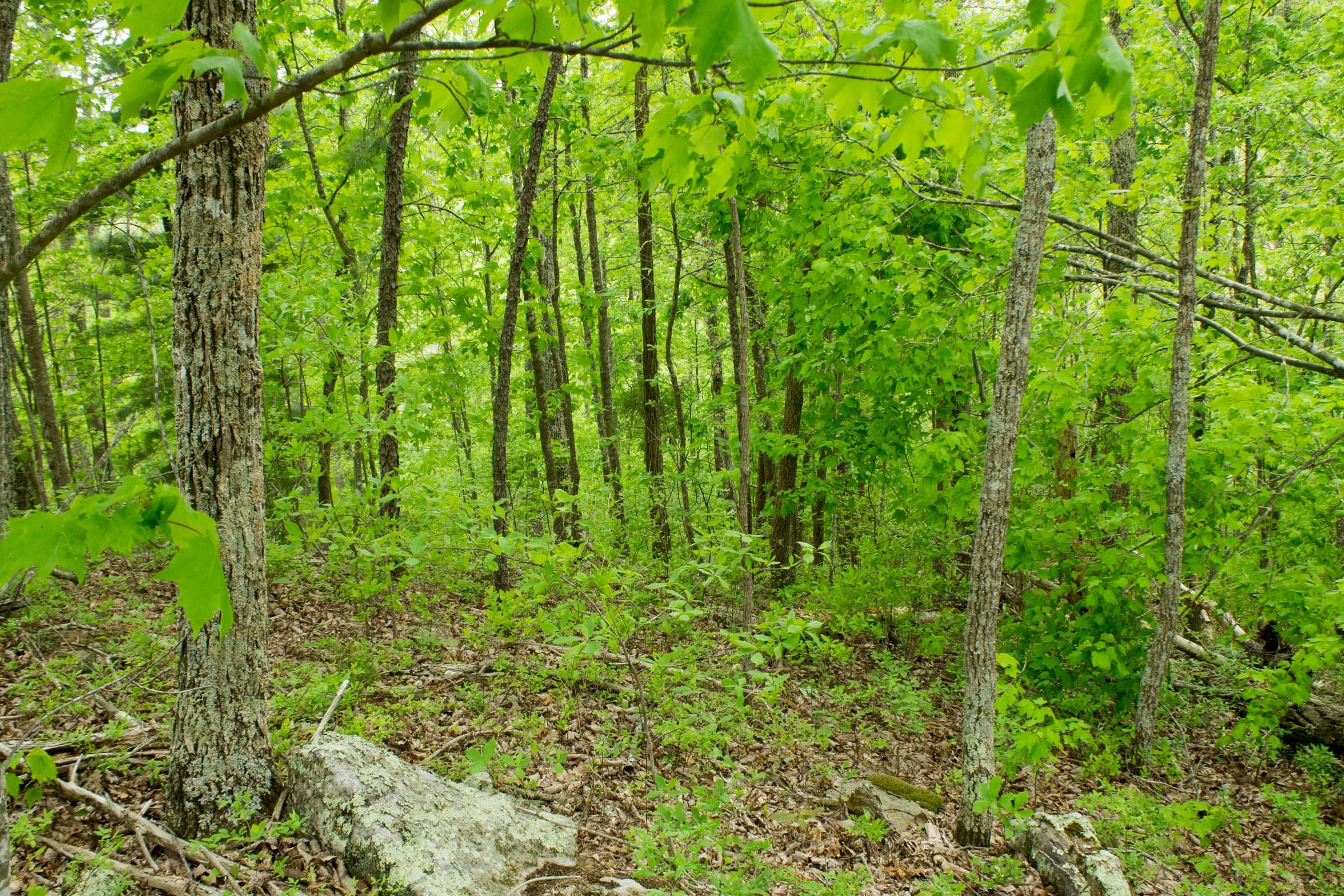 Trails End Tract 10 photo 13
