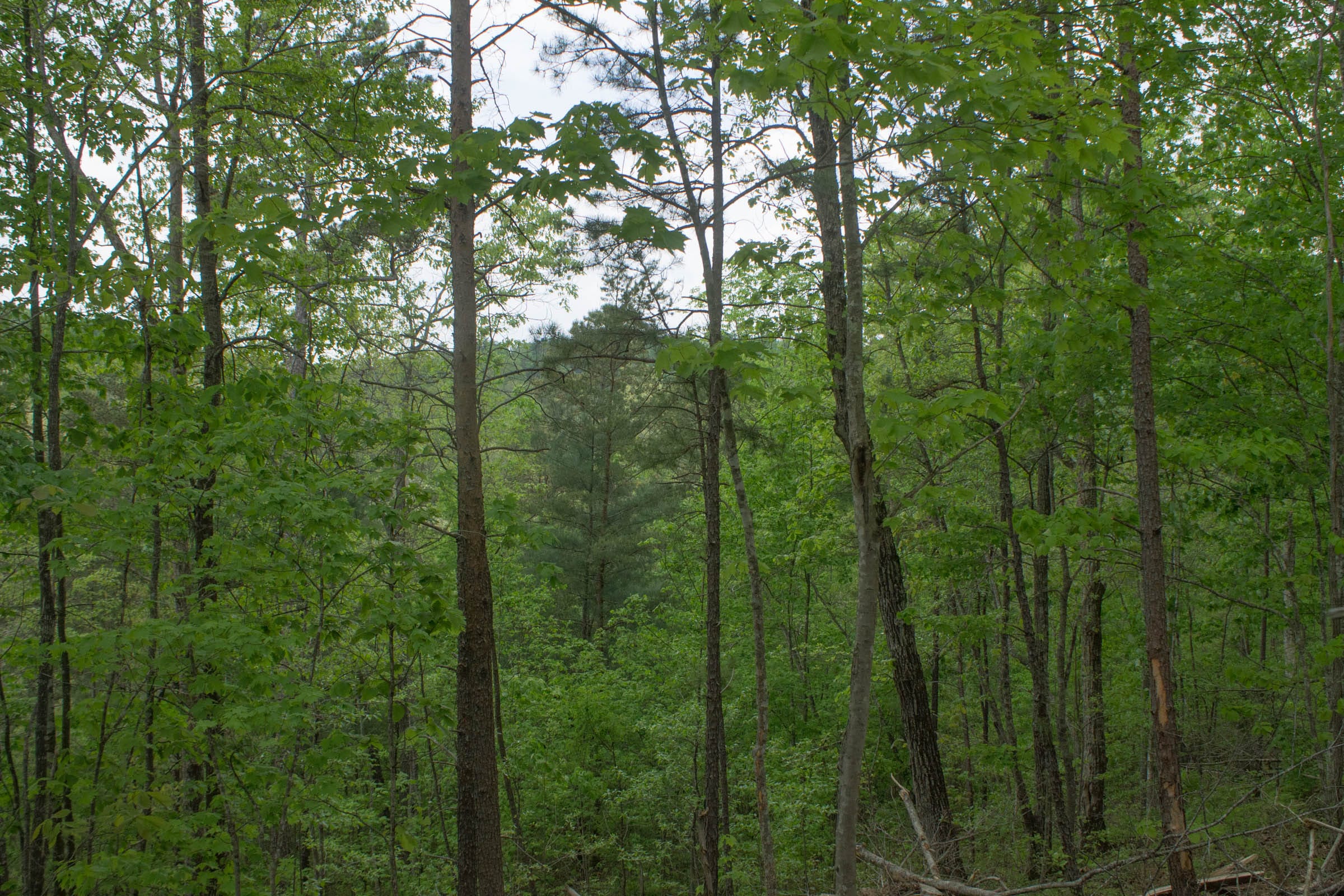 Trails End Tract 10 photo 3