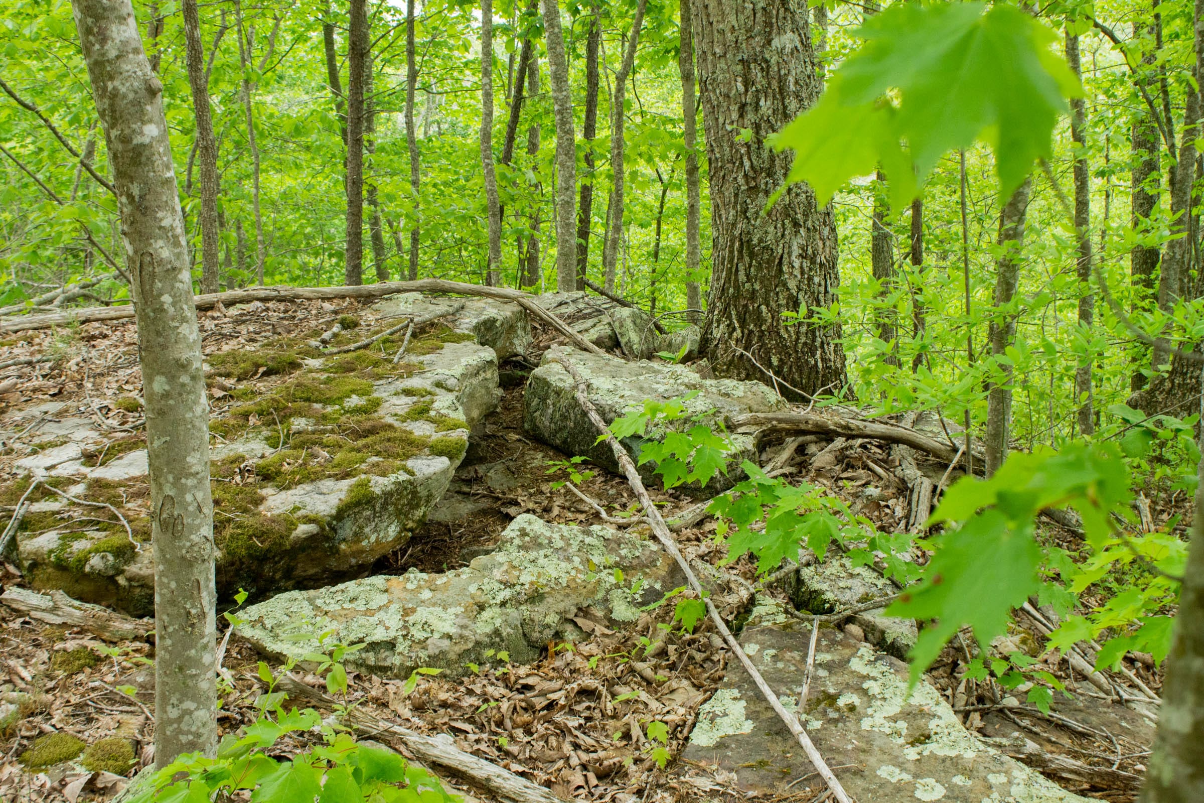 Trails End Tract 10 photo 14