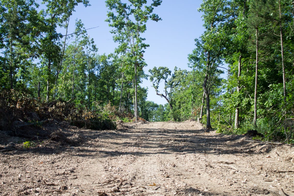 Timber Crossing Tract 2 photo 6