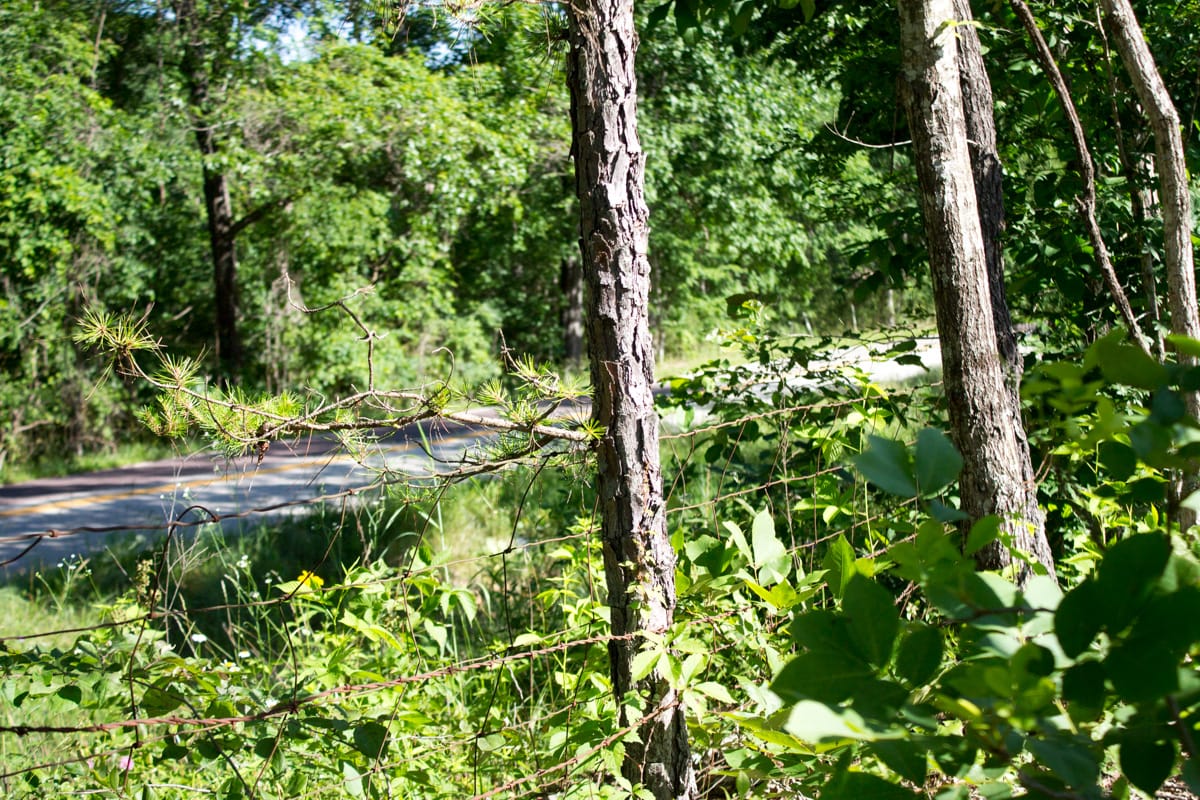 Timber Crossing Tract 2 photo 12