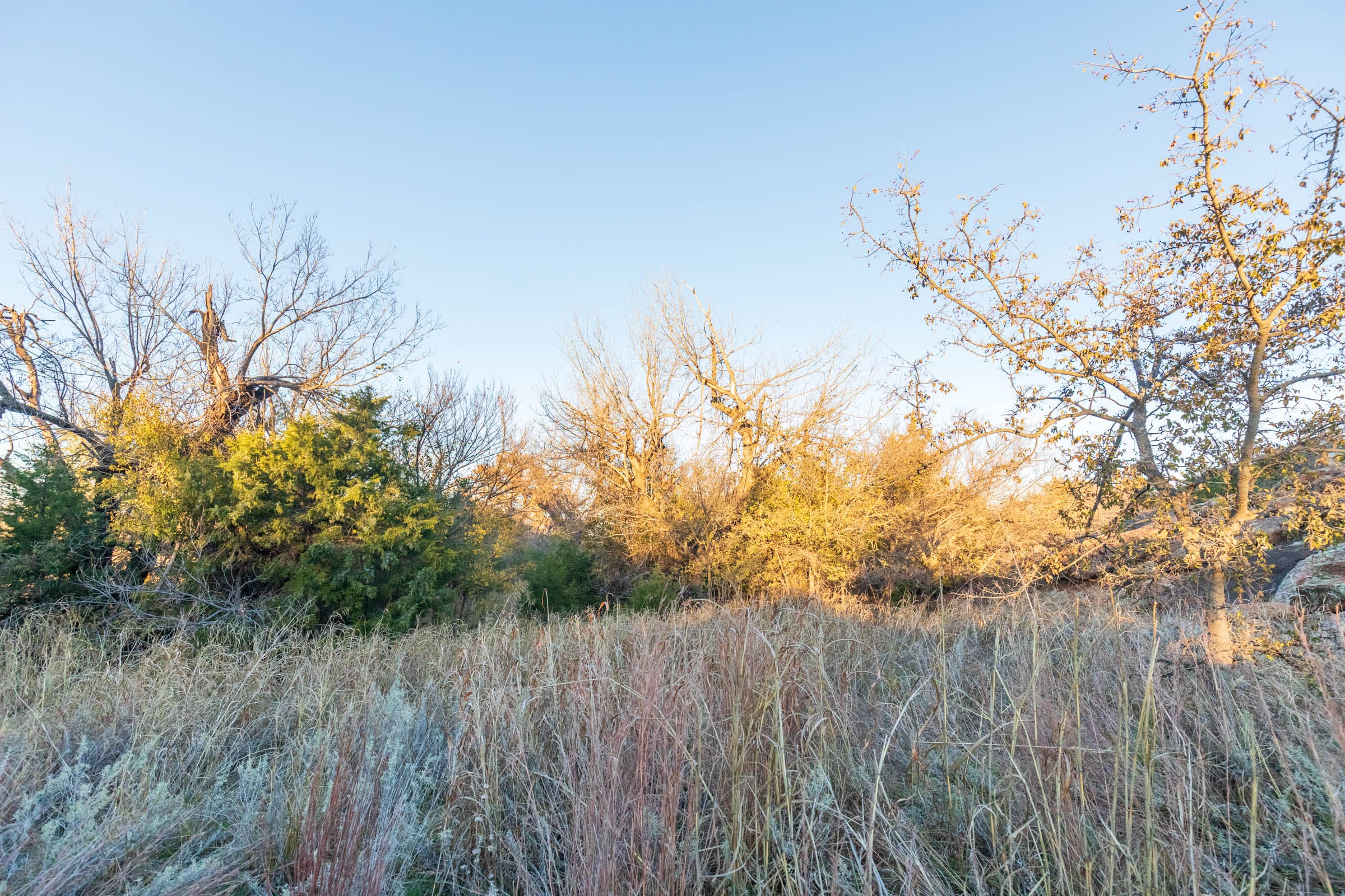 Coyote Ridge Tract 5 photo 3