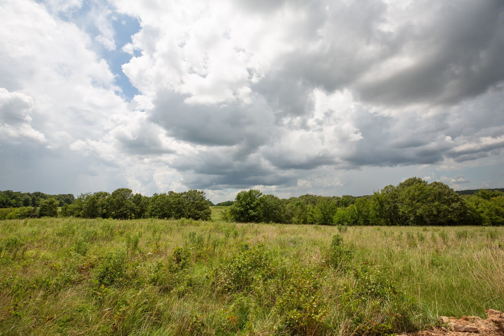 Paradise Valley Tract 13 photo 3