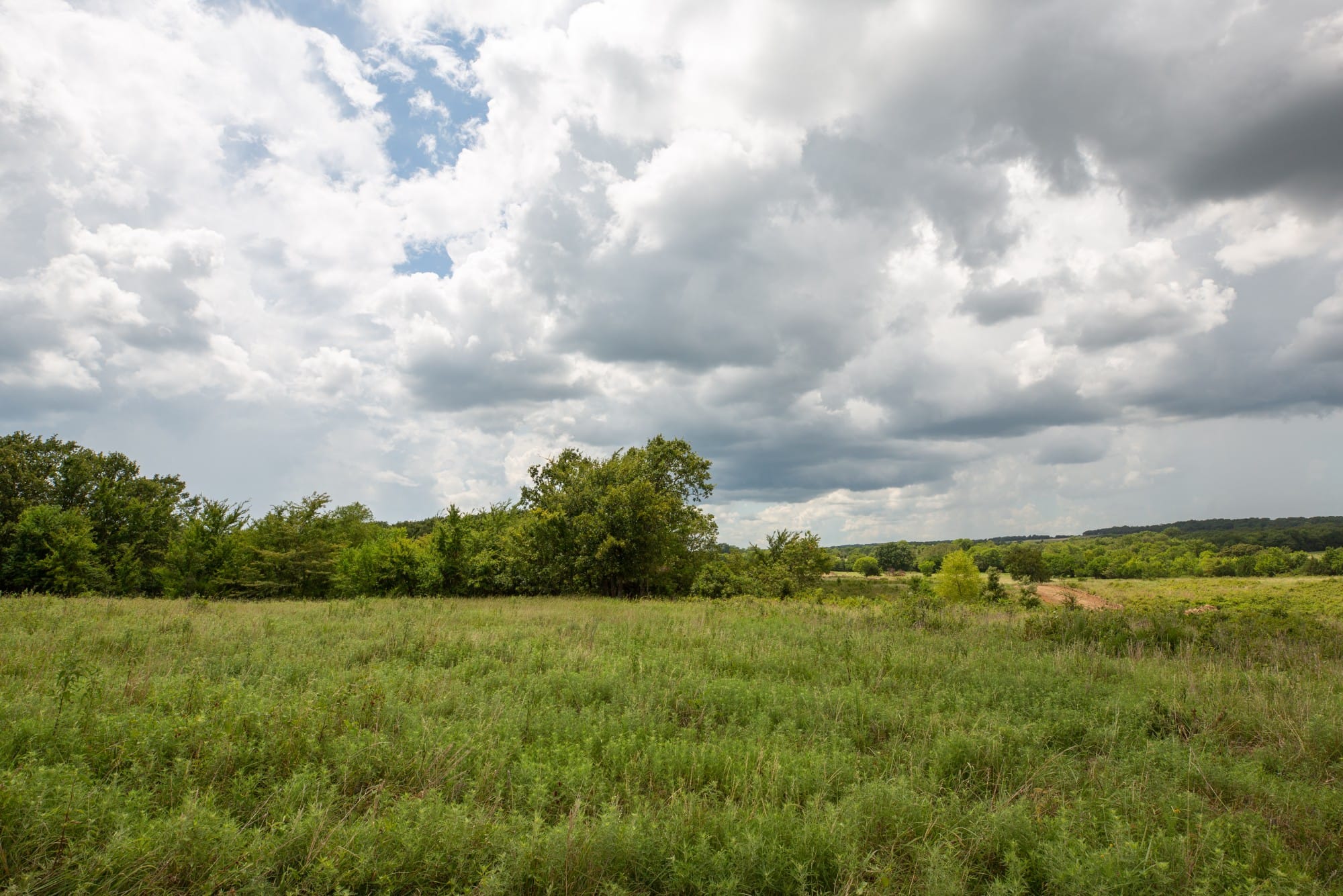Paradise Valley Tract 13 photo 4
