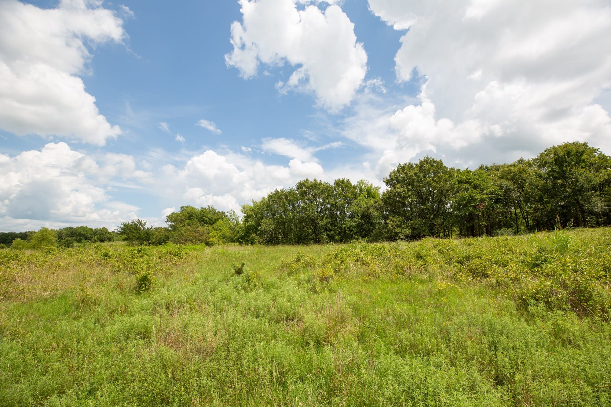 Paradise Valley Tract 13 photo 7