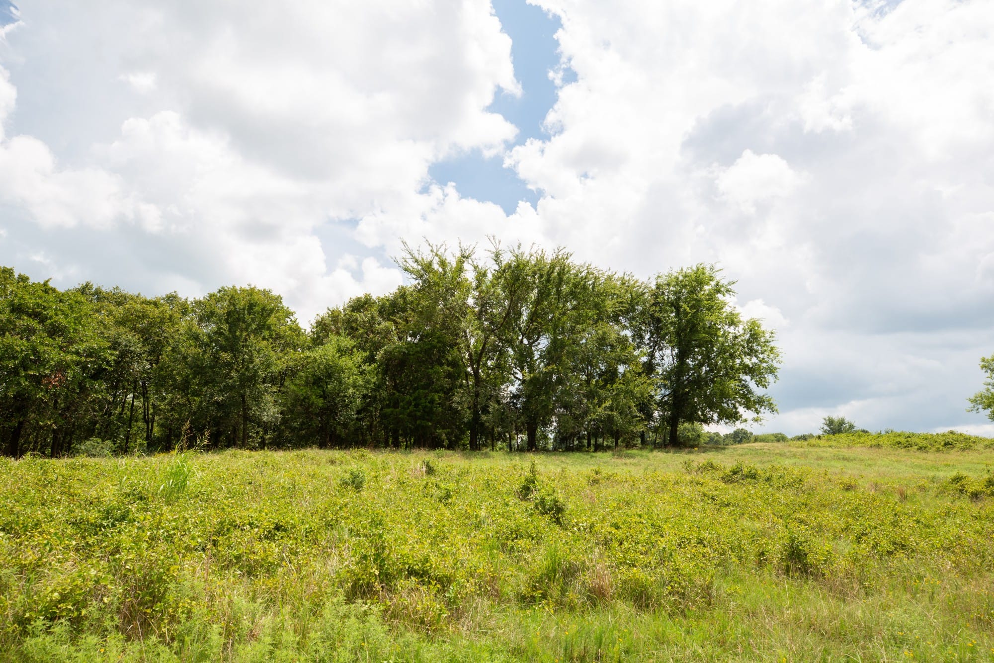 Paradise Valley Tract 13 photo 9