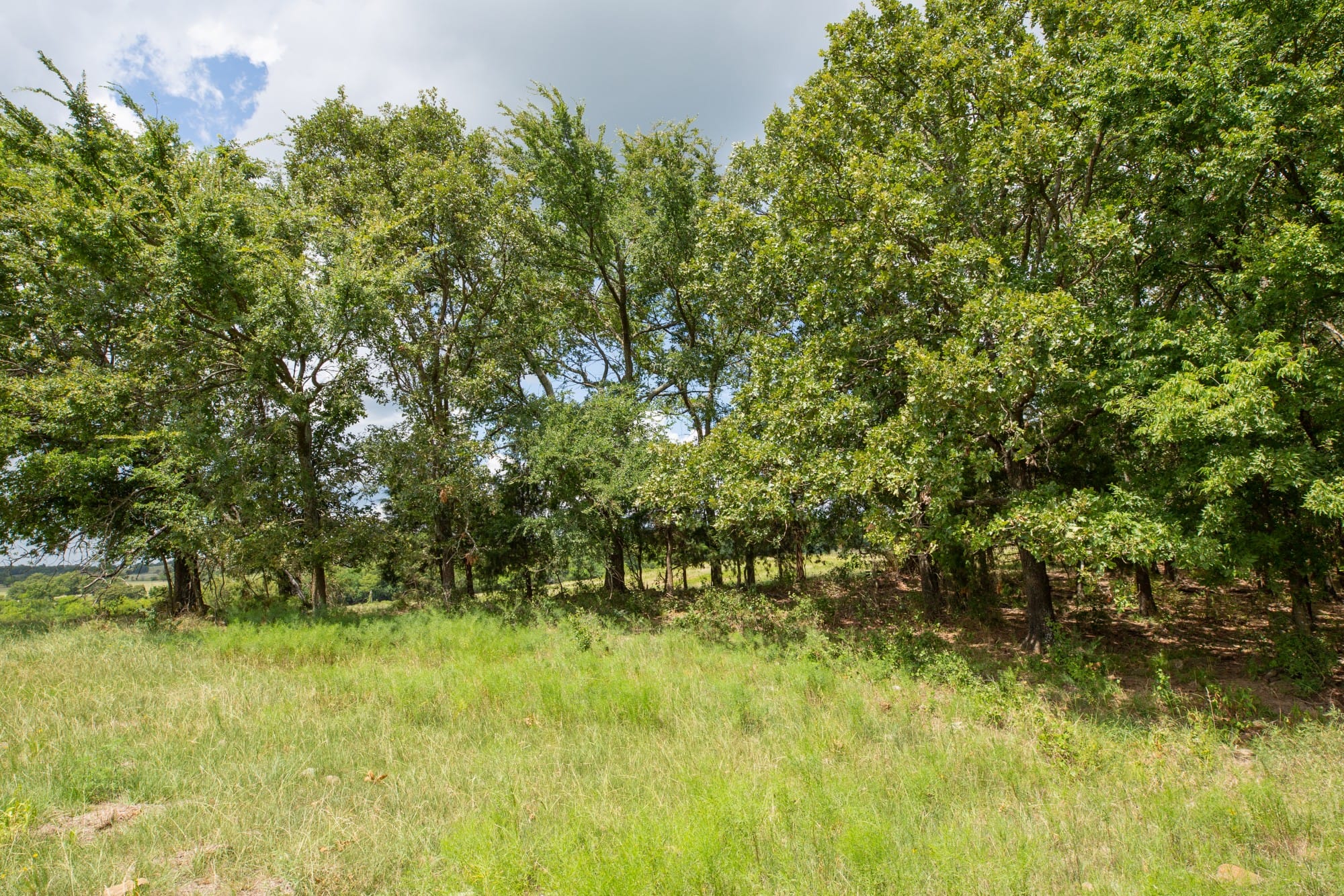 Paradise Valley Tract 13 photo 8