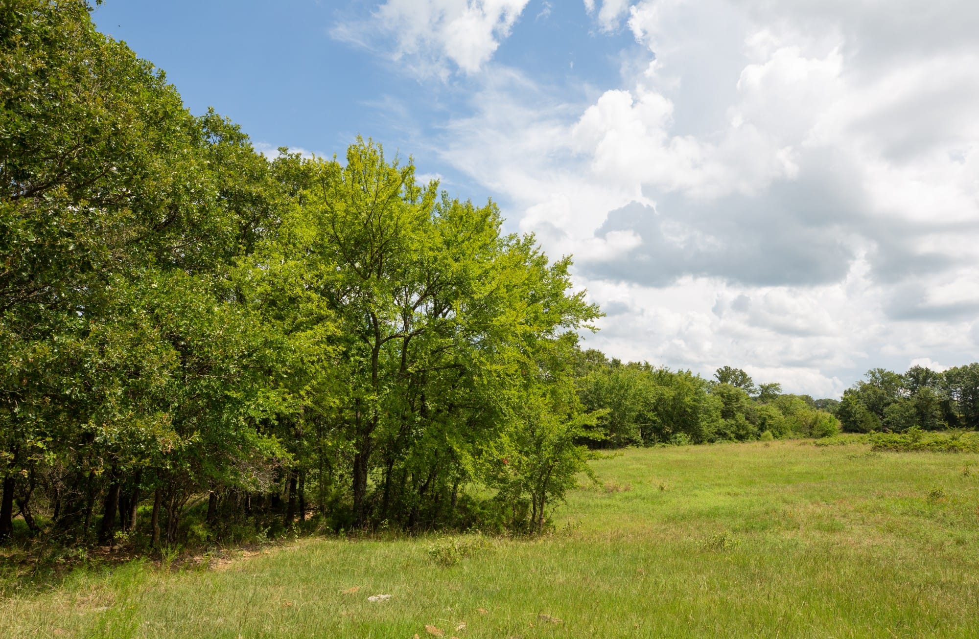 Paradise Valley Tract 13 photo 10