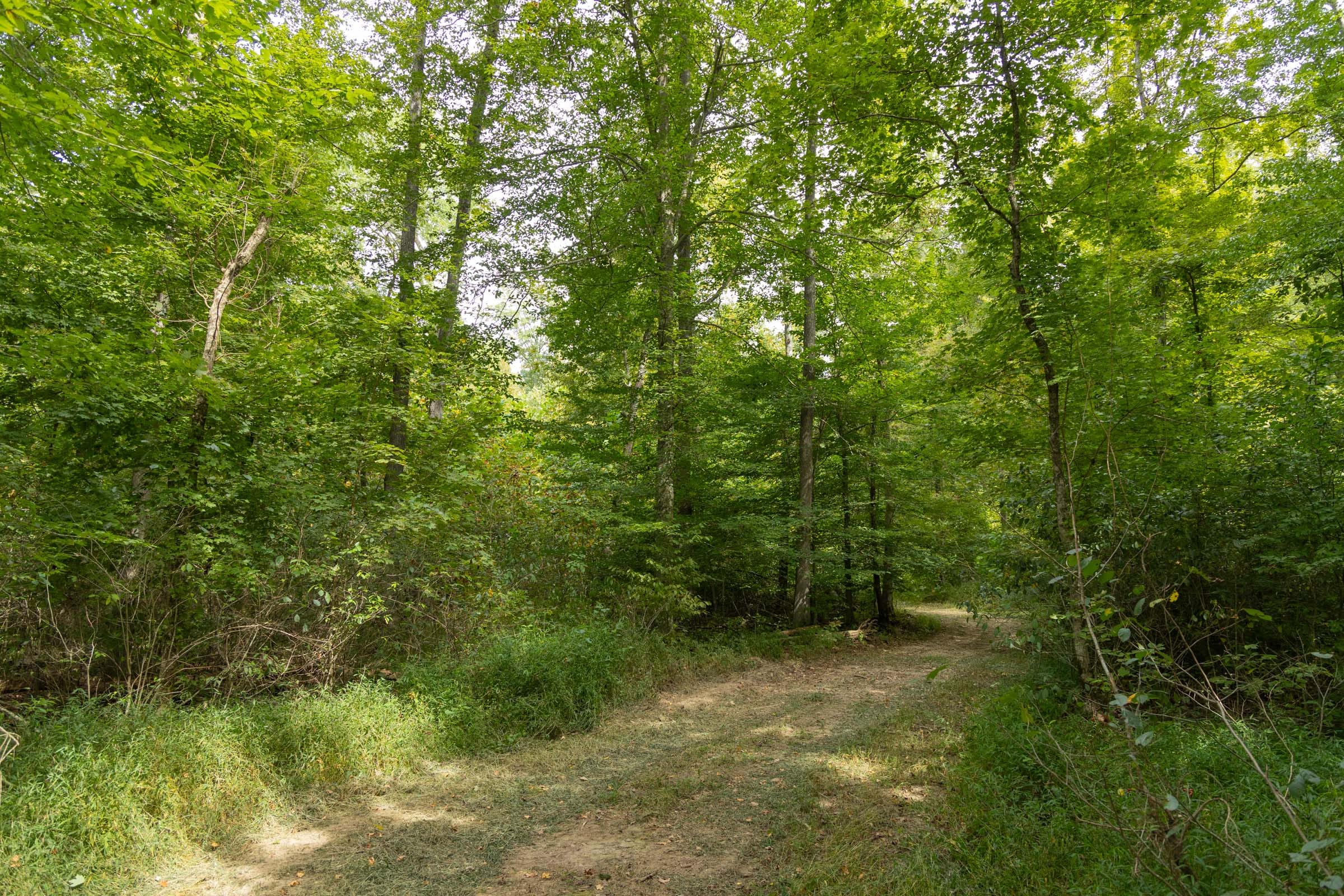 Big White Oak Tract 123 photo 11