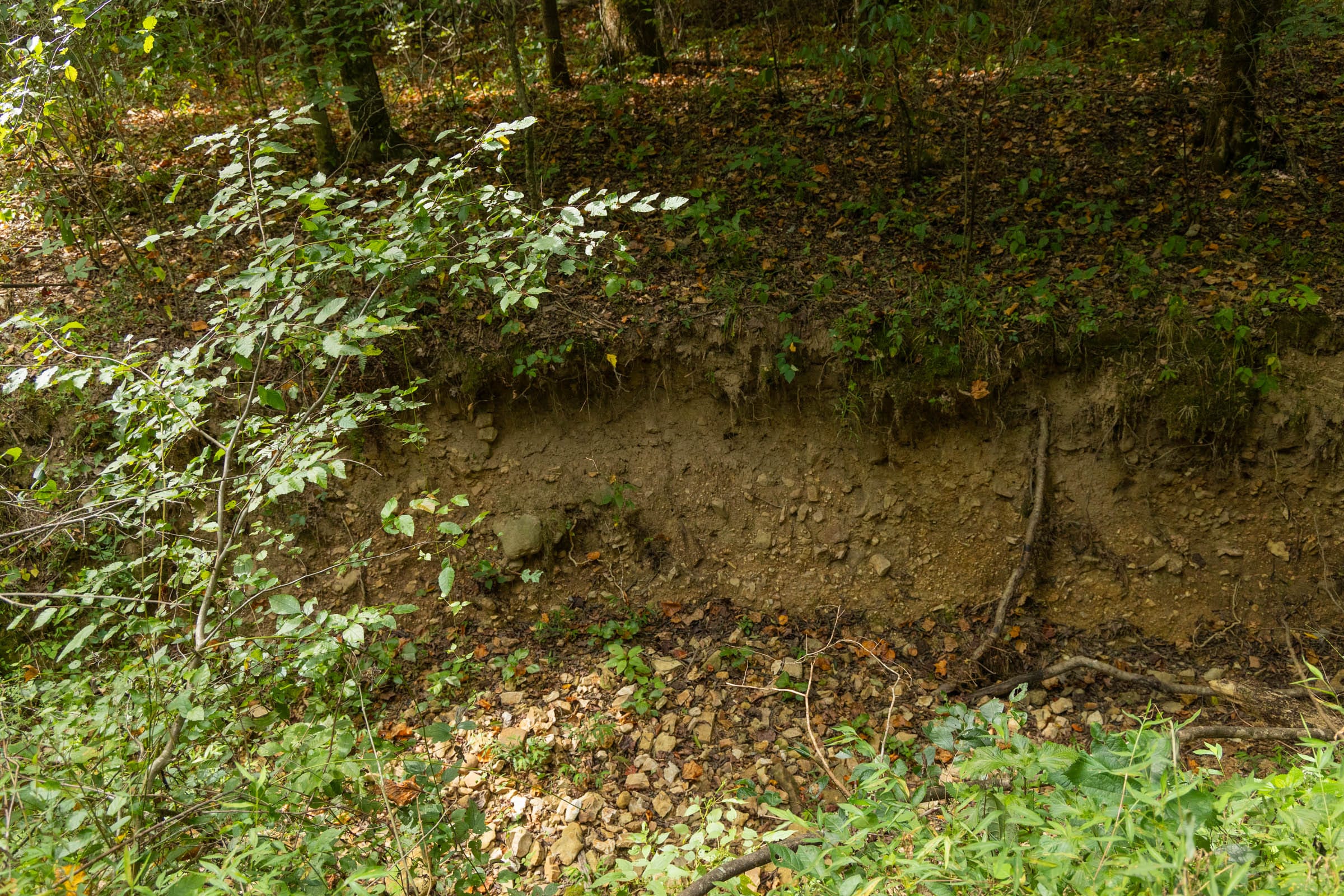 Big White Oak Tract 123 photo 2