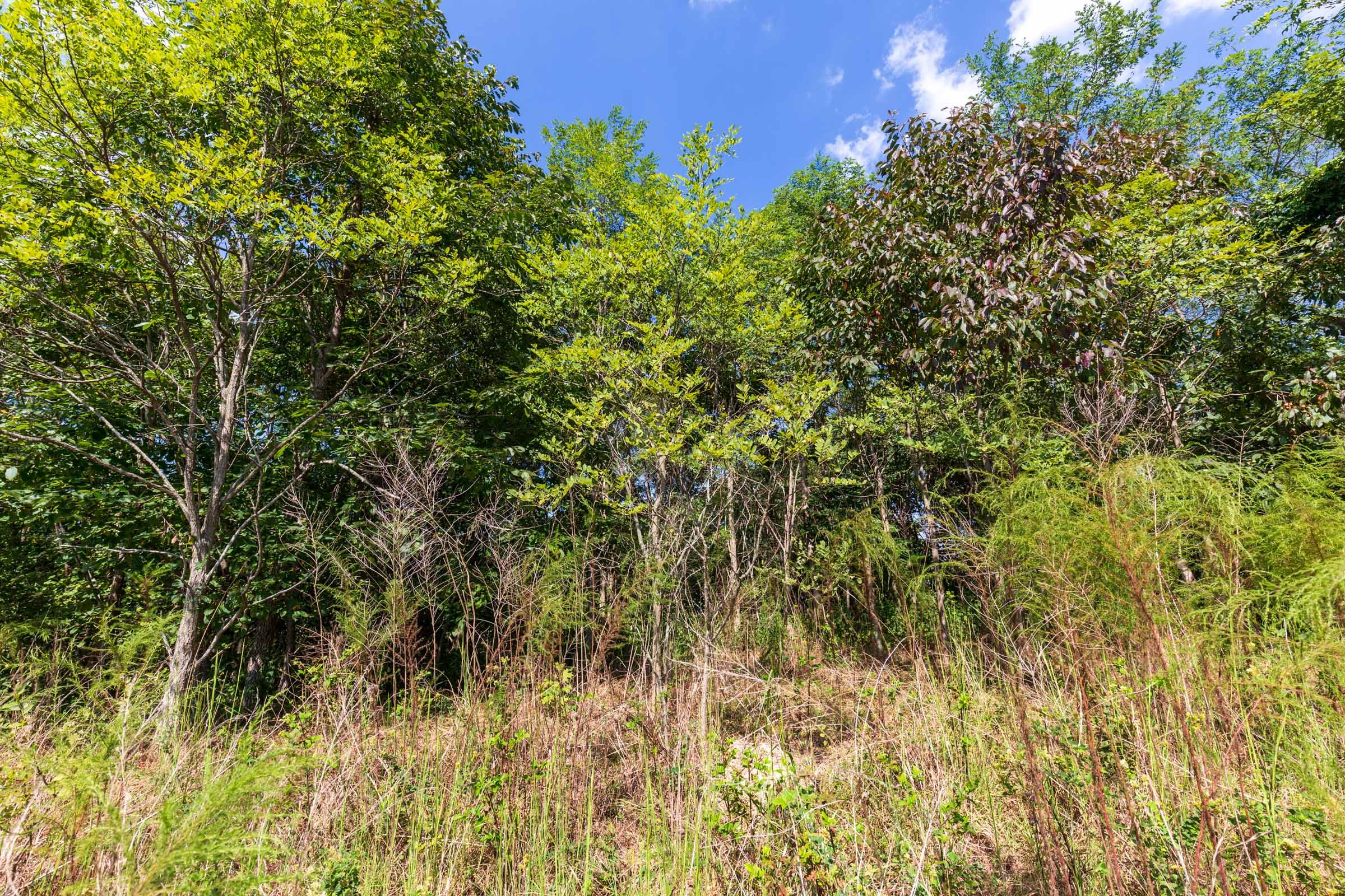 Redemption Ridge Tract 7 photo 3