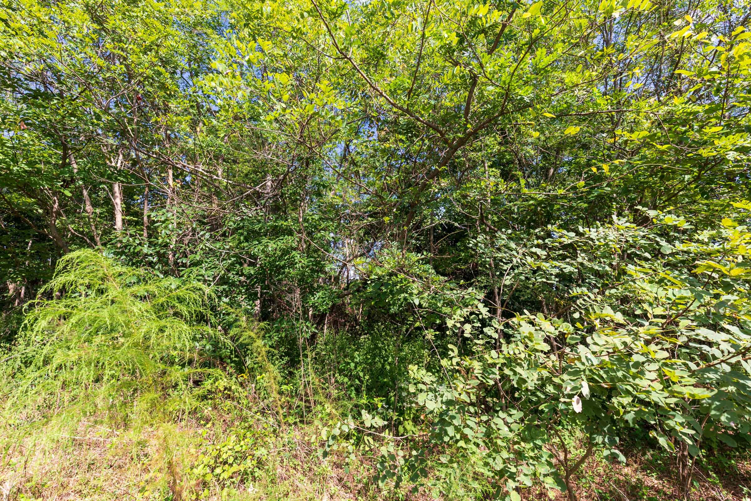 Redemption Ridge Tract 7 photo 6