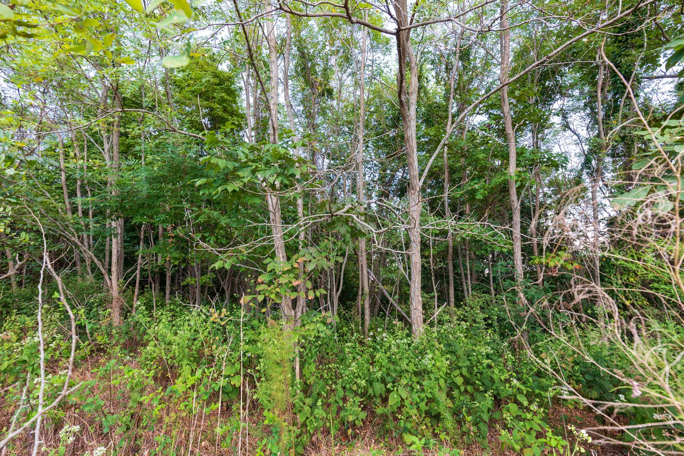 Redemption Ridge Tract 7 photo 1