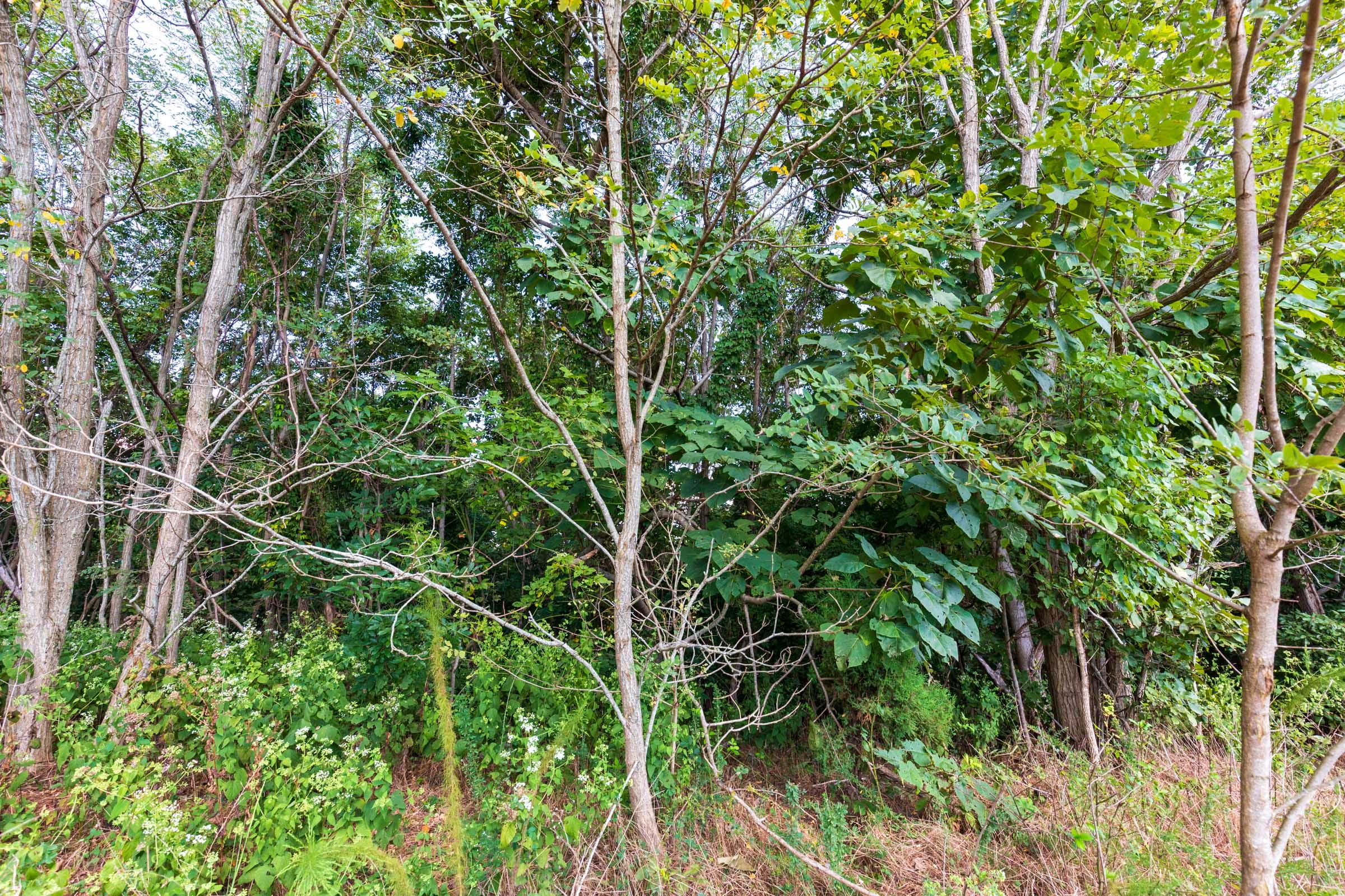 Redemption Ridge Tract 7 photo 9