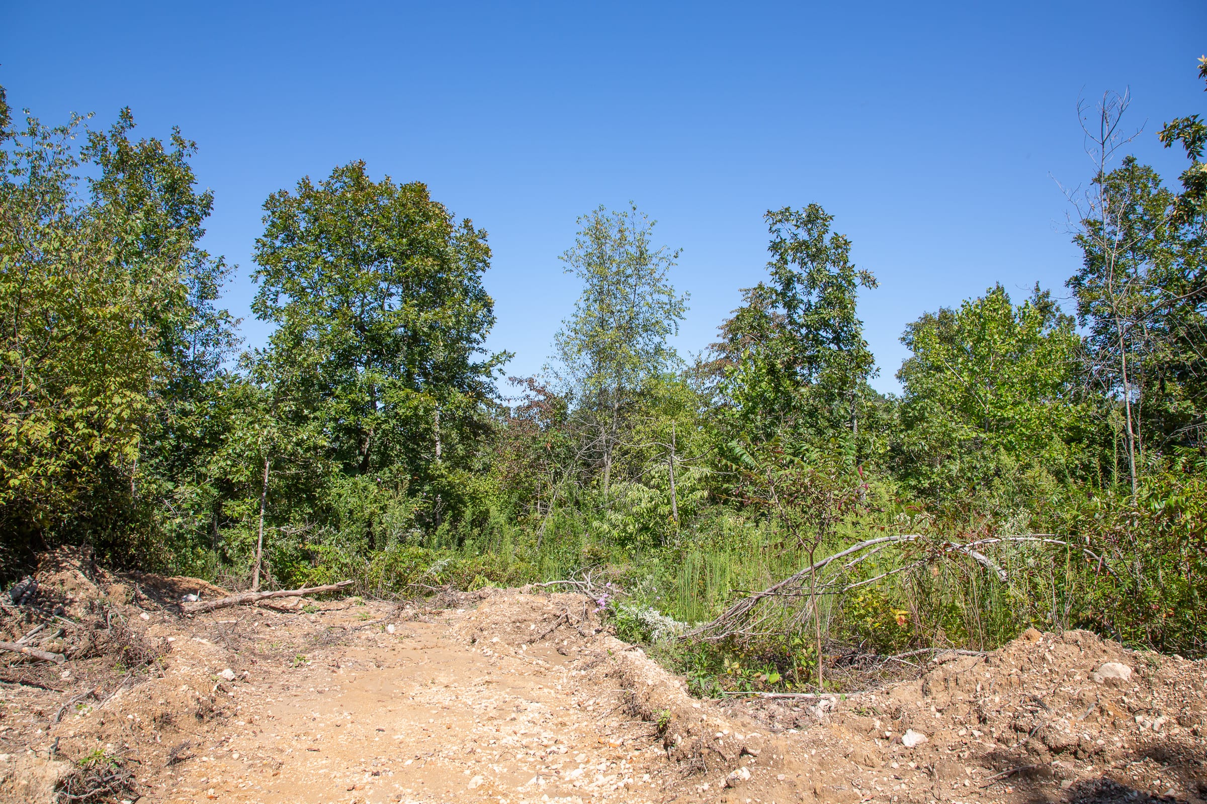 Borgmann’s Hollow Phase III Tract 89 photo 1