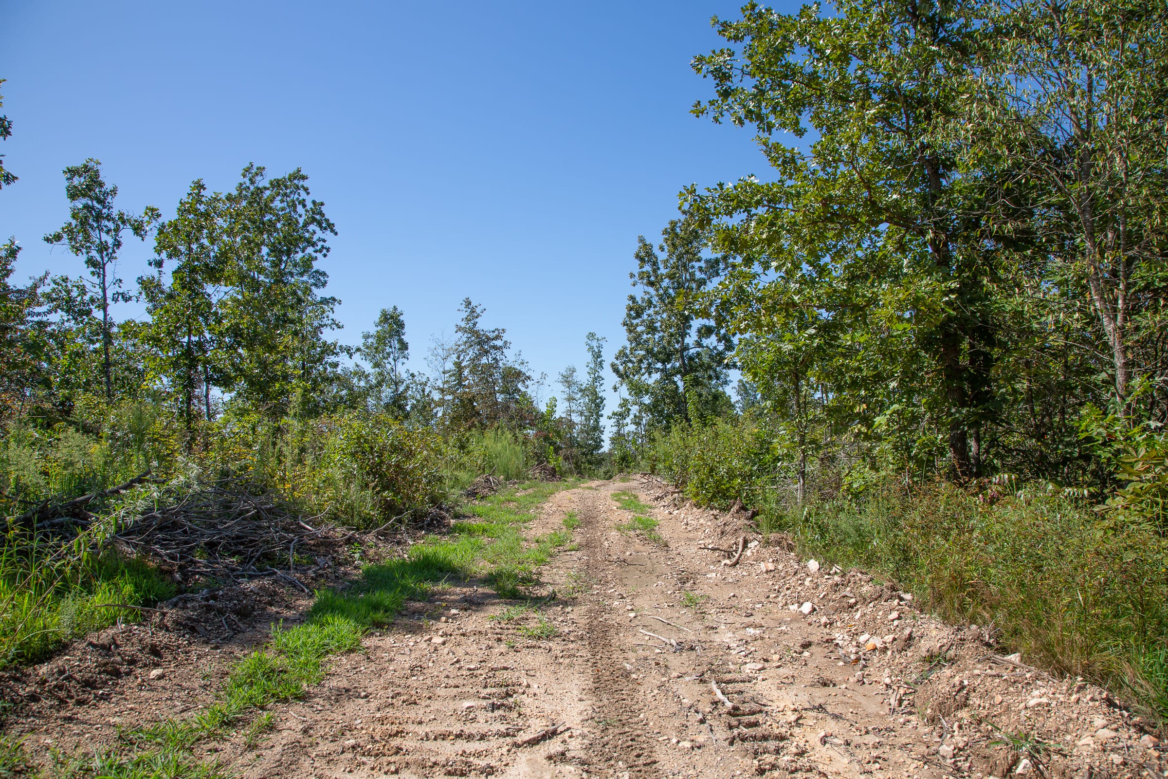 Borgmann’s Hollow Phase III Tract 89 photo 2