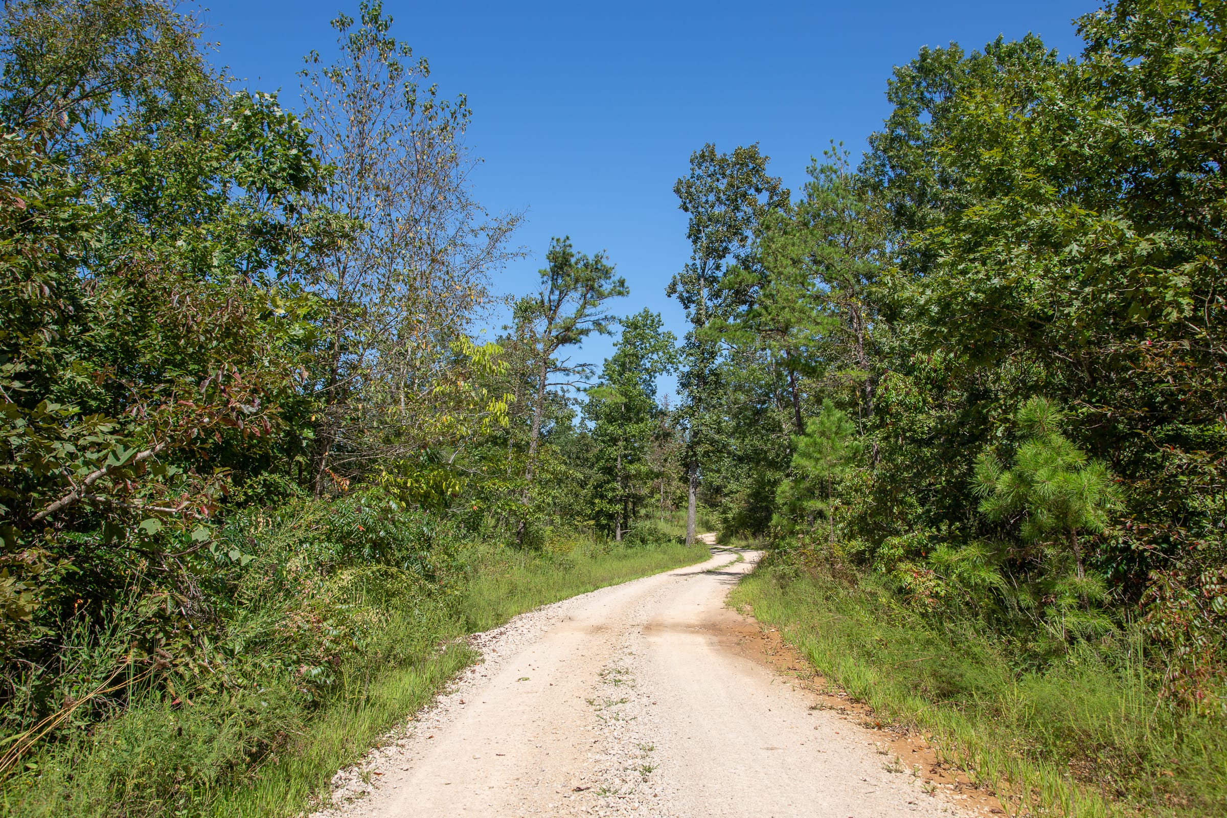 Borgmann’s Hollow Phase III Tract 89 photo 9