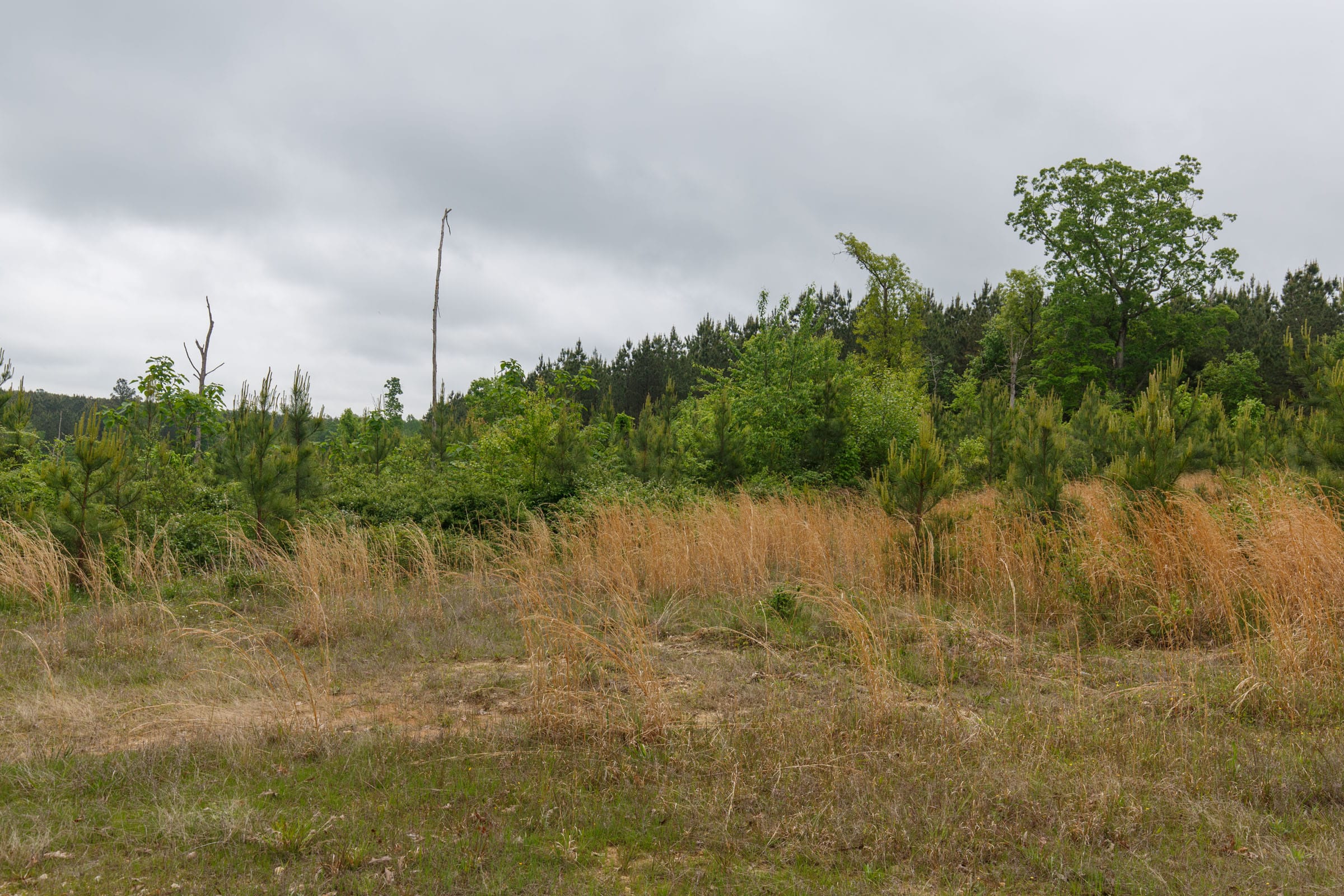 Red Barn Ranch Tract 5 photo 2