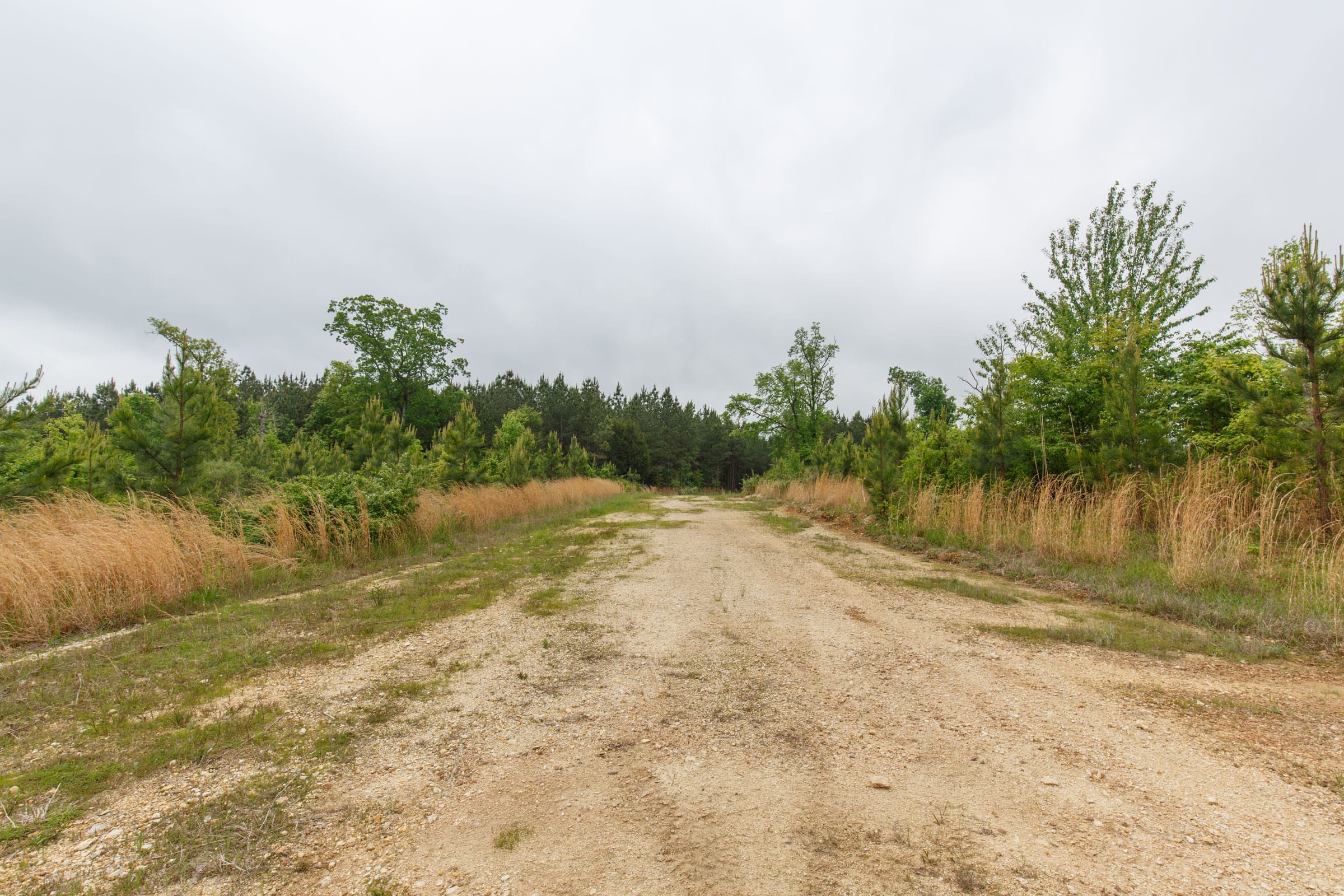 Red Barn Ranch Tract 5 photo 3