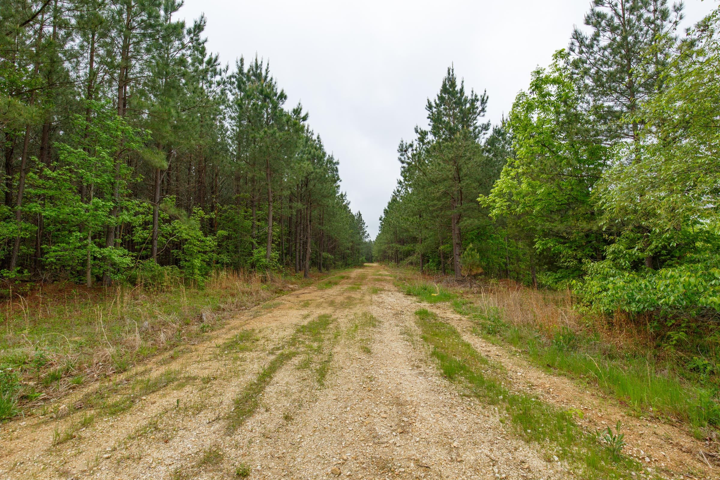 Red Barn Ranch Tract 5 photo 5