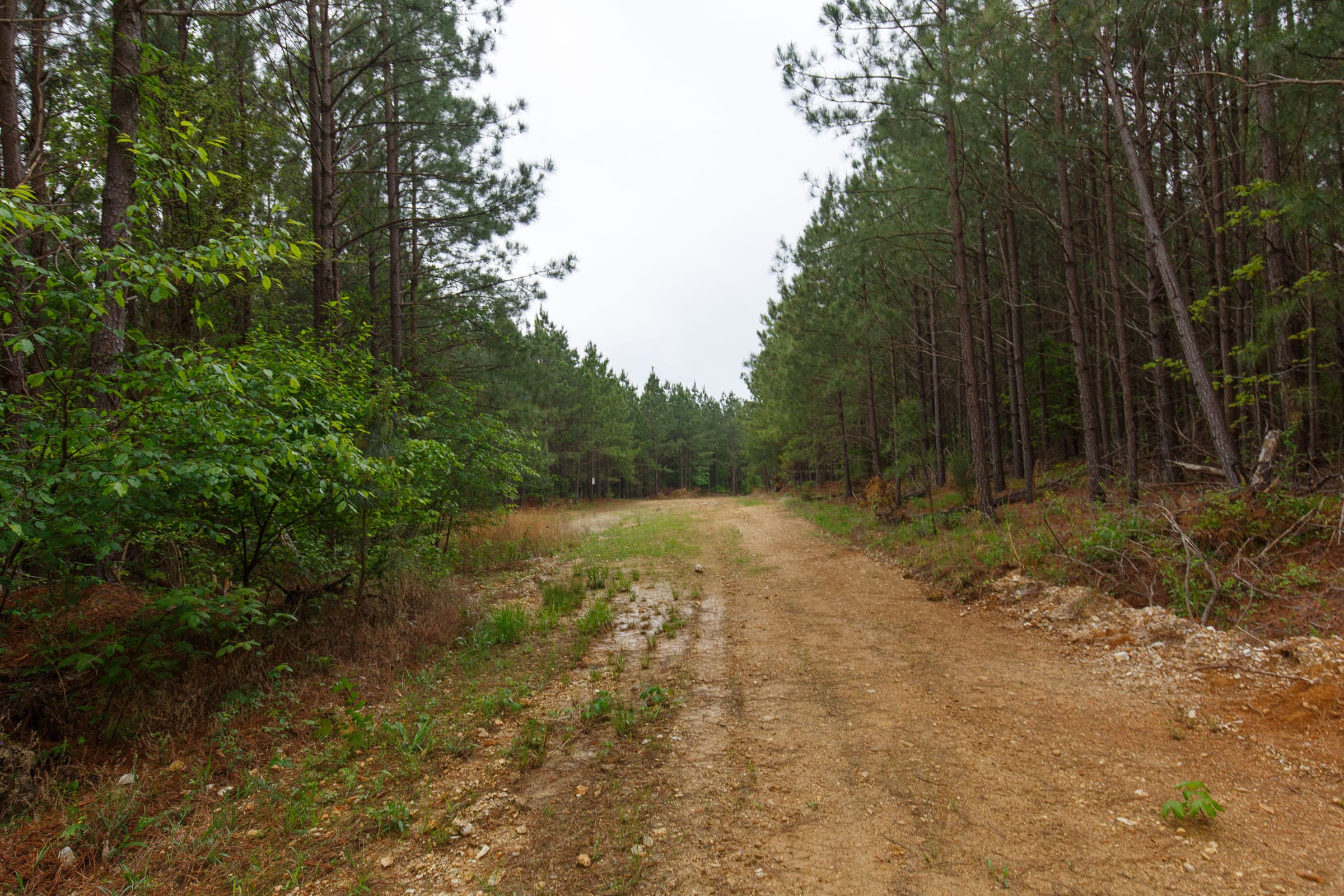Red Barn Ranch Tract 5 photo 7