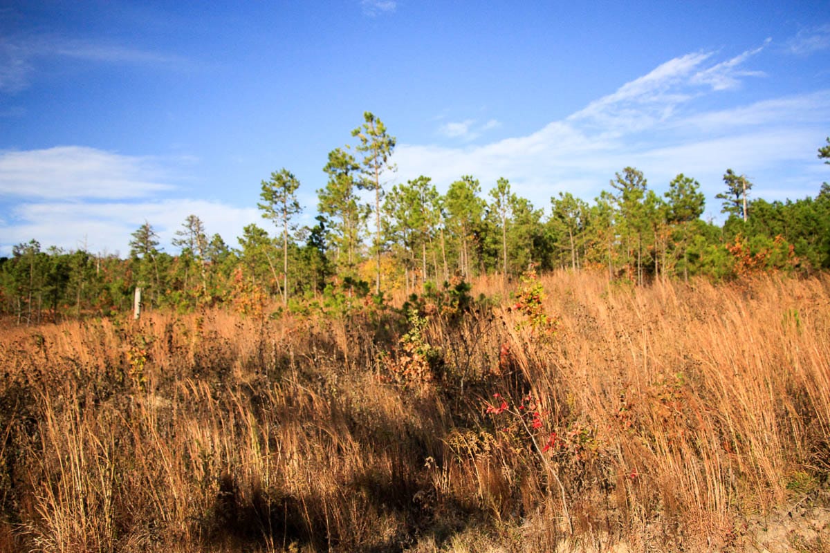 Stone Creek Phase III Tract 14 photo 2