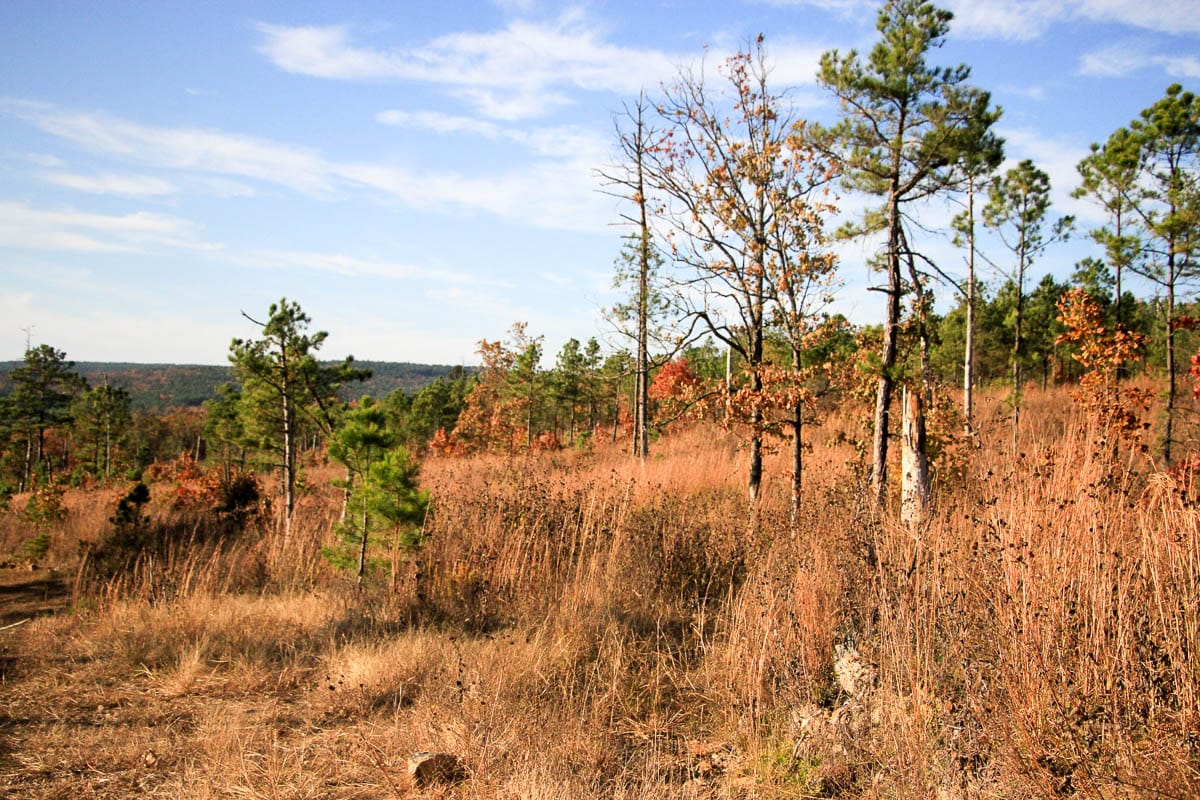 Stone Creek Phase III Tract 14 photo 5
