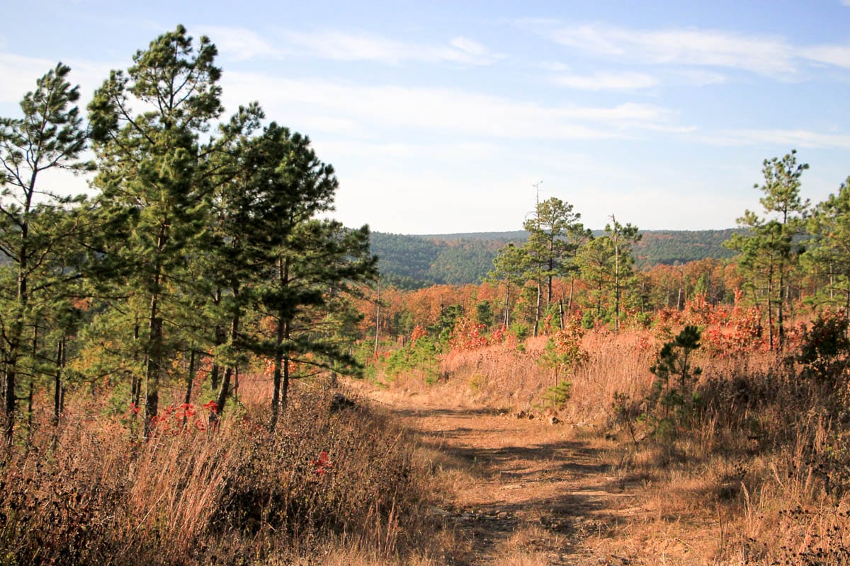 Stone Creek Phase III Tract 14 photo 7