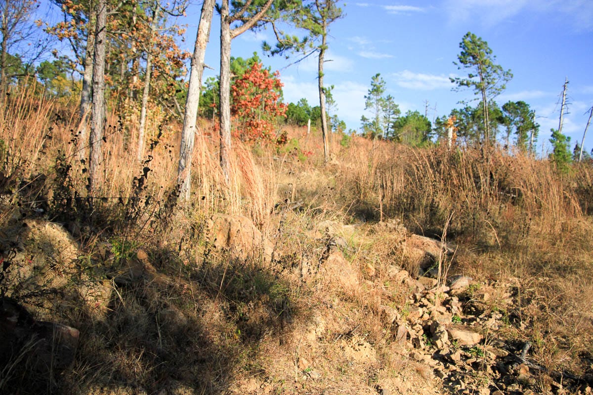 Stone Creek Phase III Tract 14 photo 8