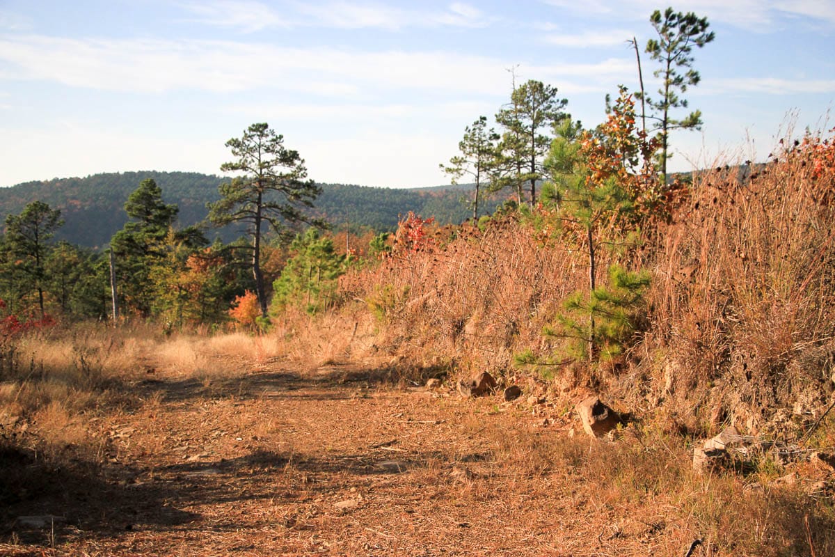 Stone Creek Phase III Tract 14 photo 9