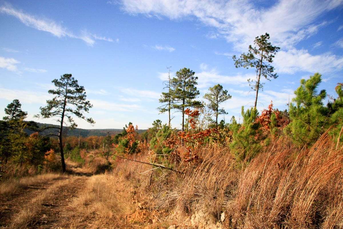 Stone Creek Phase III Tract 14 photo 10