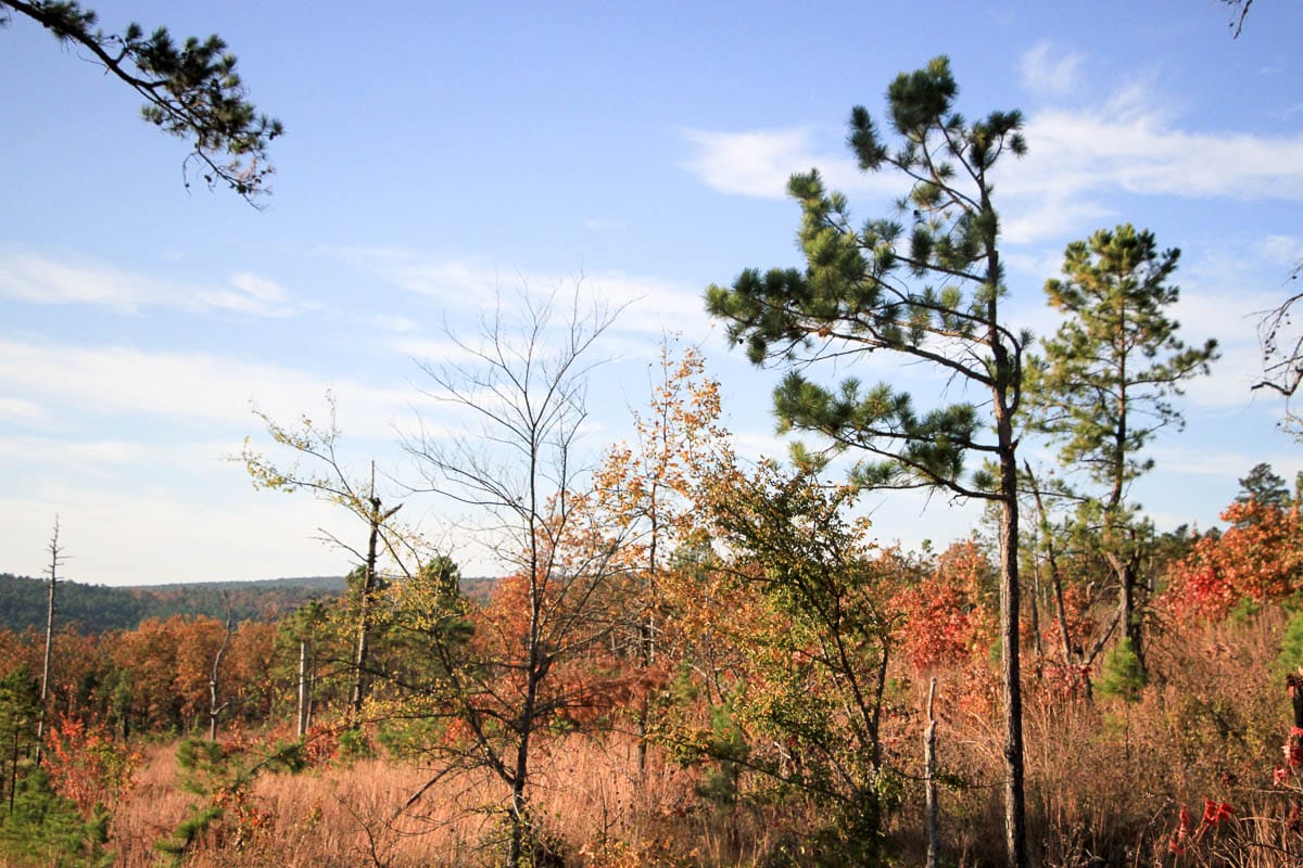 Stone Creek Phase III Tract 14 photo 11