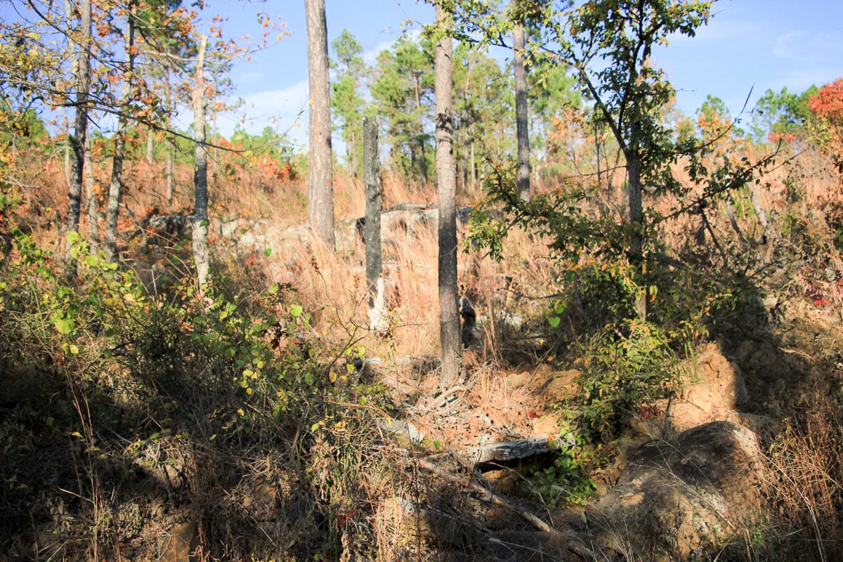 Stone Creek Phase III Tract 14 photo 12