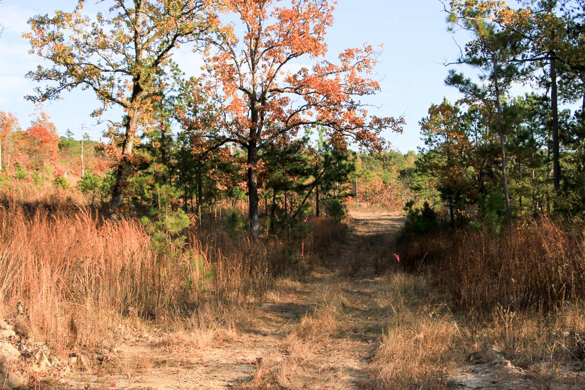 Stone Creek Phase III Tract 14 photo 17
