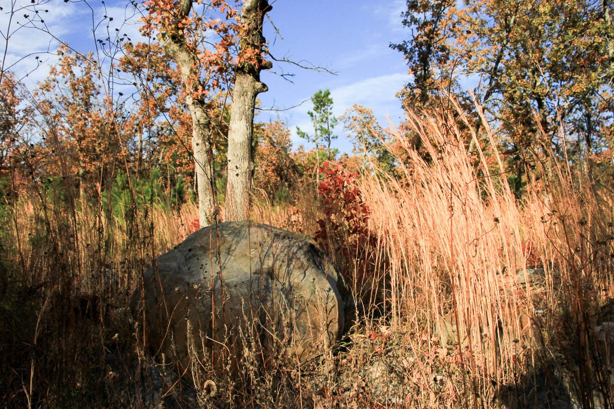 Stone Creek Phase III Tract 14 photo 18