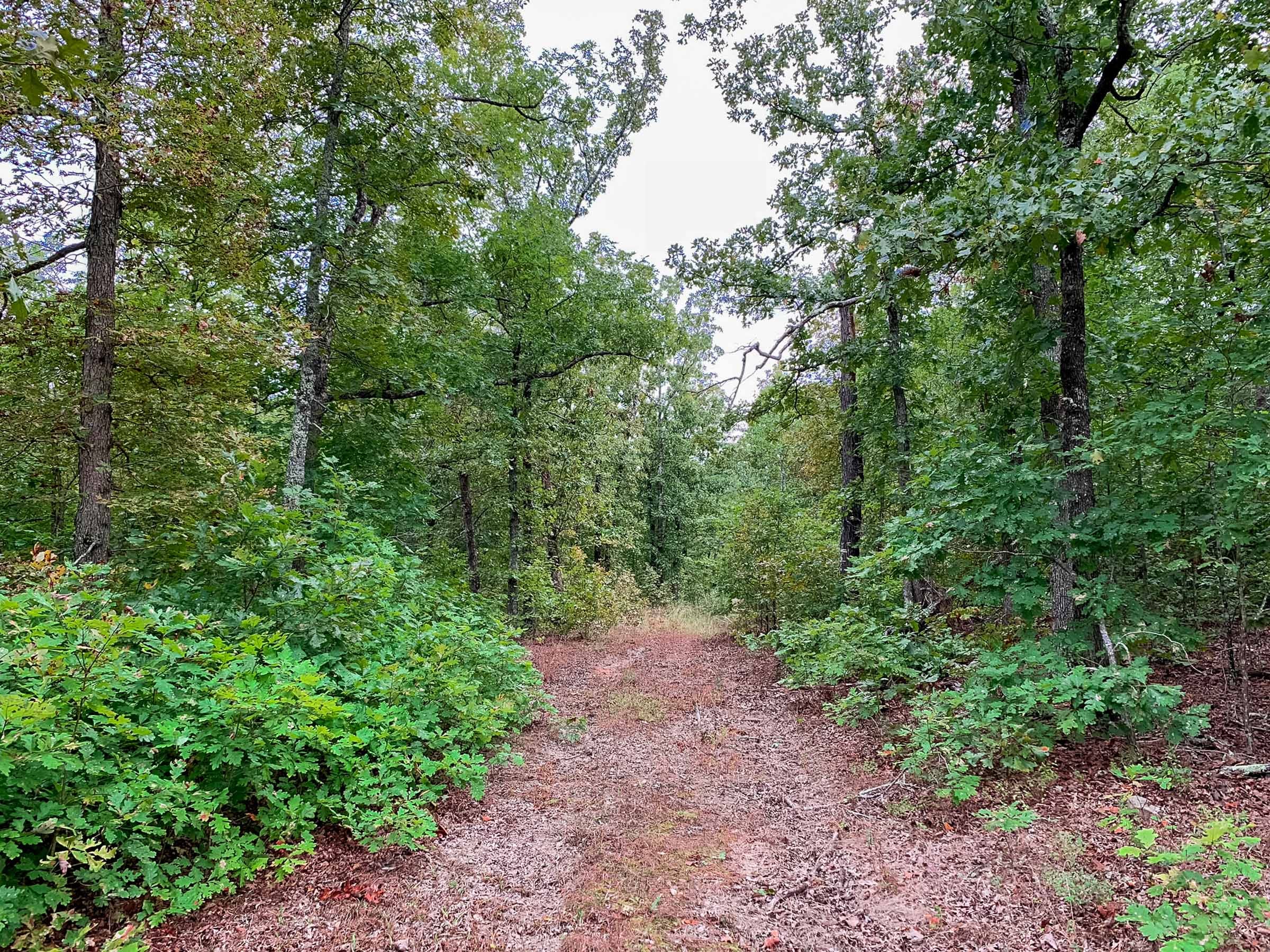 Wagon Wheel Ranch Tract 31 photo 1