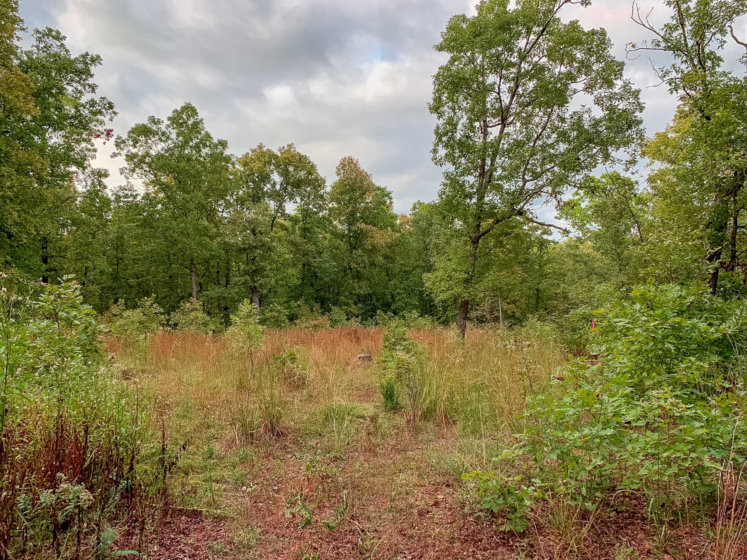 Wagon Wheel Ranch Tract 31 photo 2