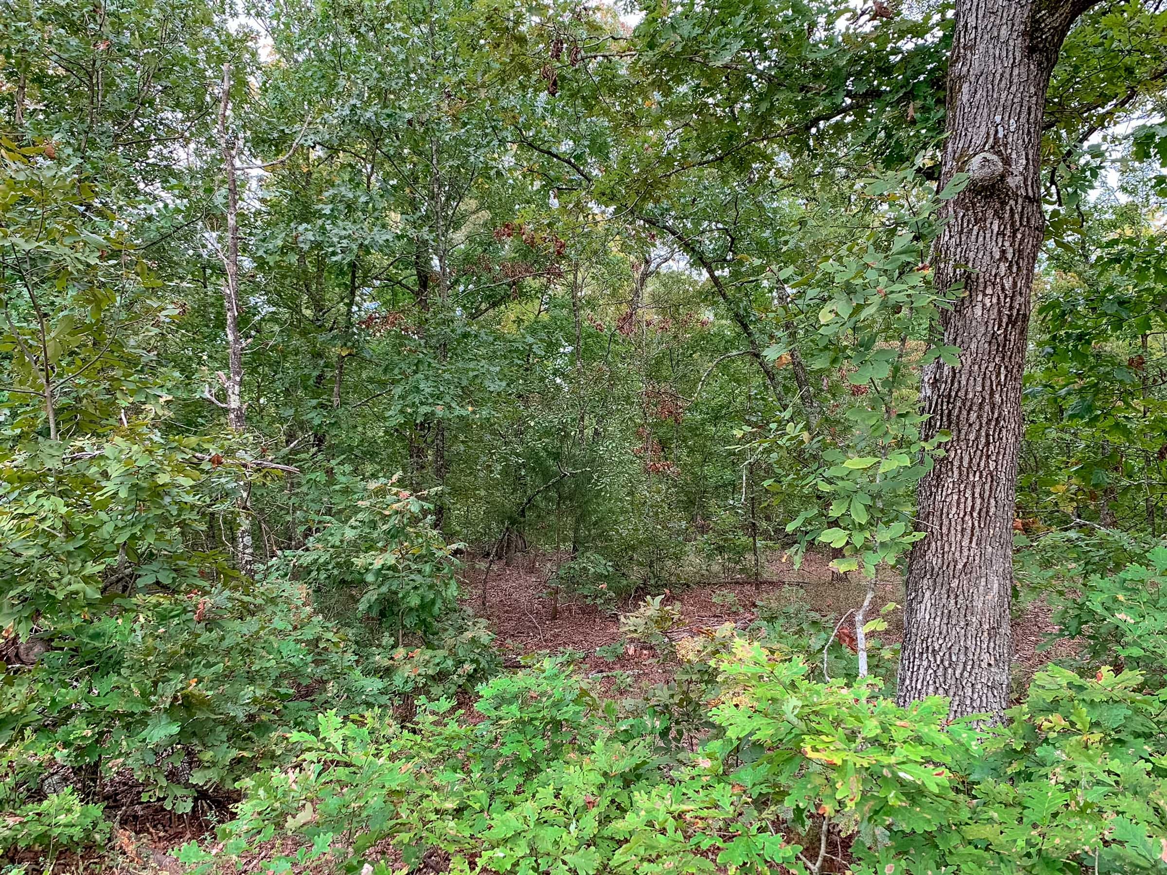 Wagon Wheel Ranch Tract 31 photo 7