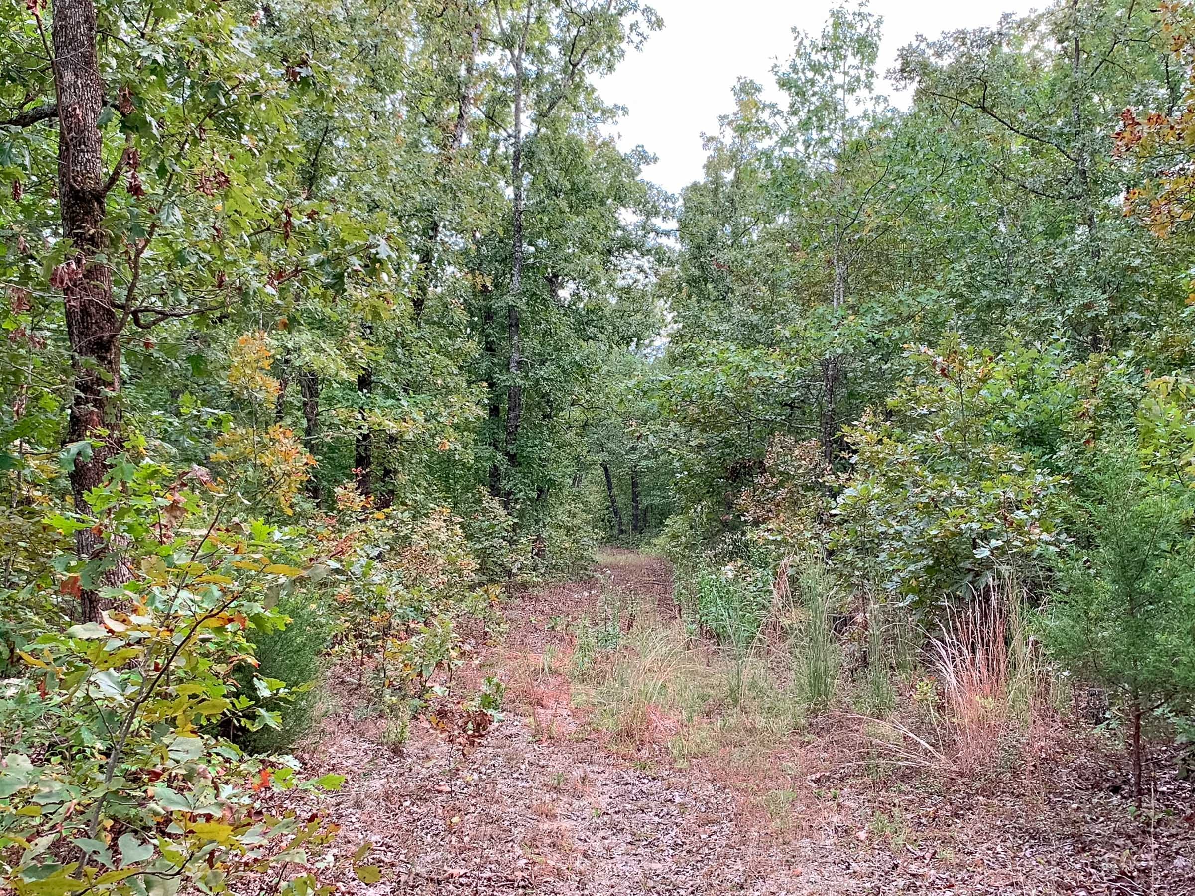 Wagon Wheel Ranch Tract 31 photo 5