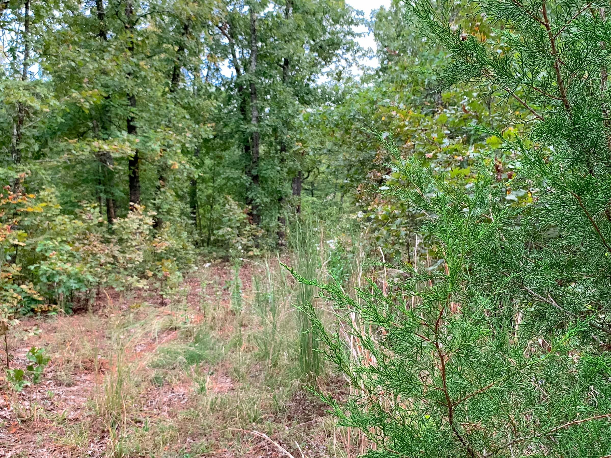 Wagon Wheel Ranch Tract 31 photo 11