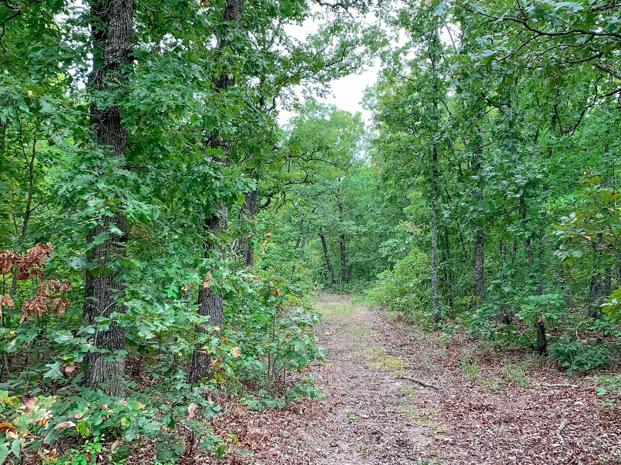 Wagon Wheel Ranch Tract 31 photo 10