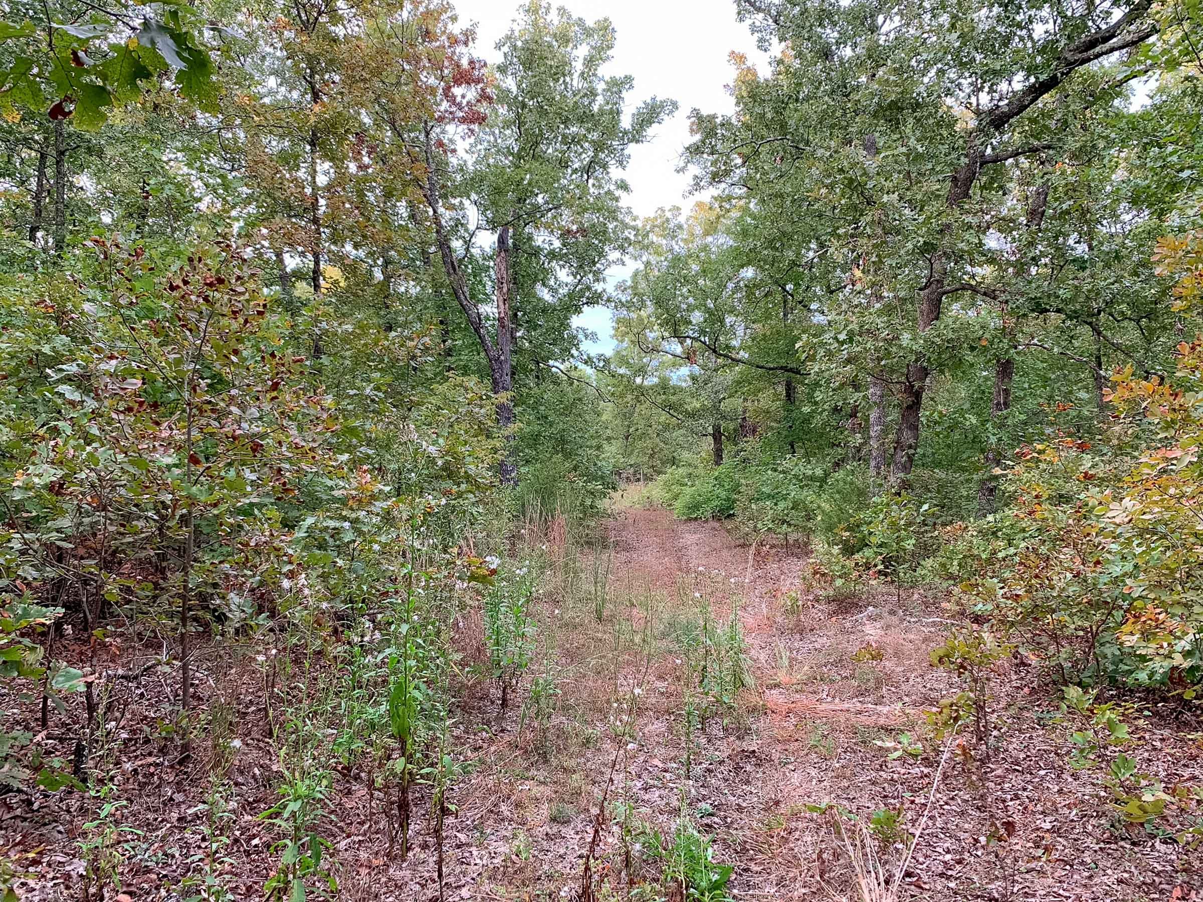 Wagon Wheel Ranch Tract 31 photo 13