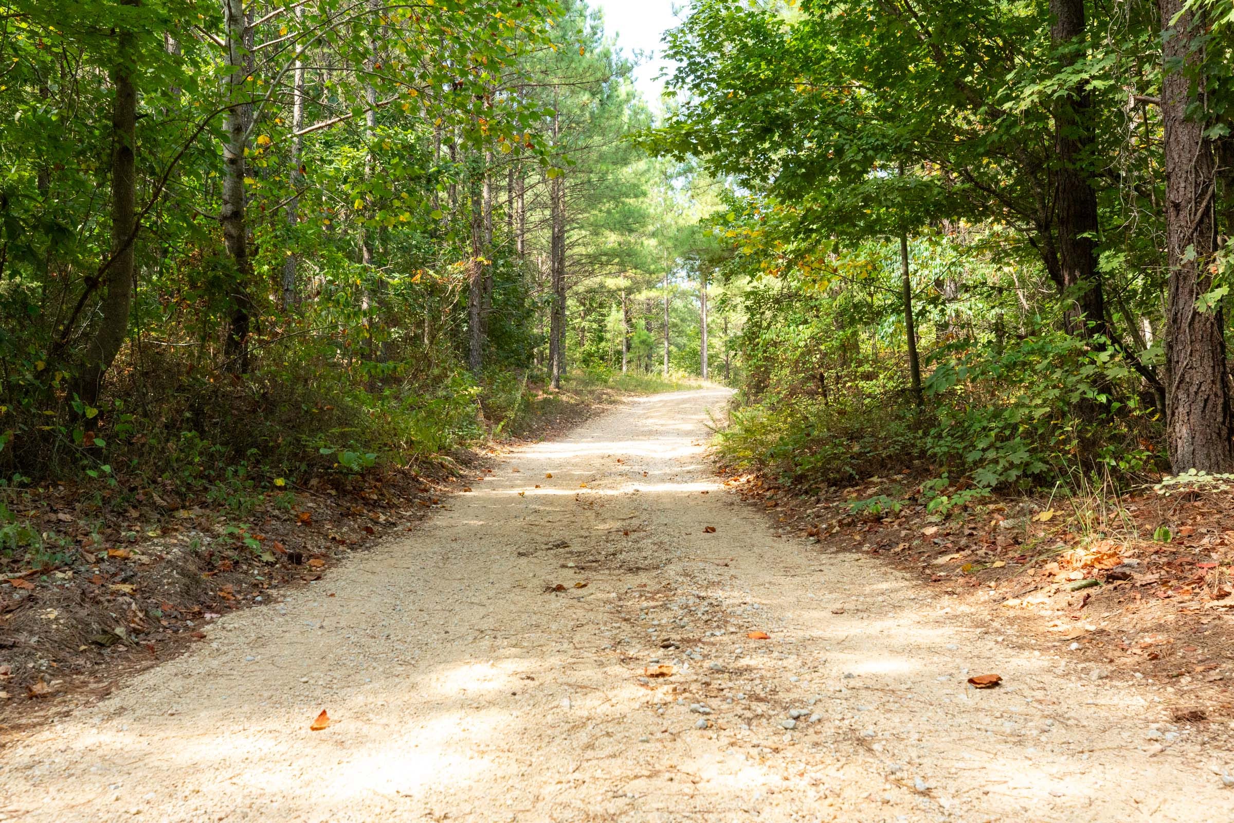 Harvest Ridge Tract 13 photo 1