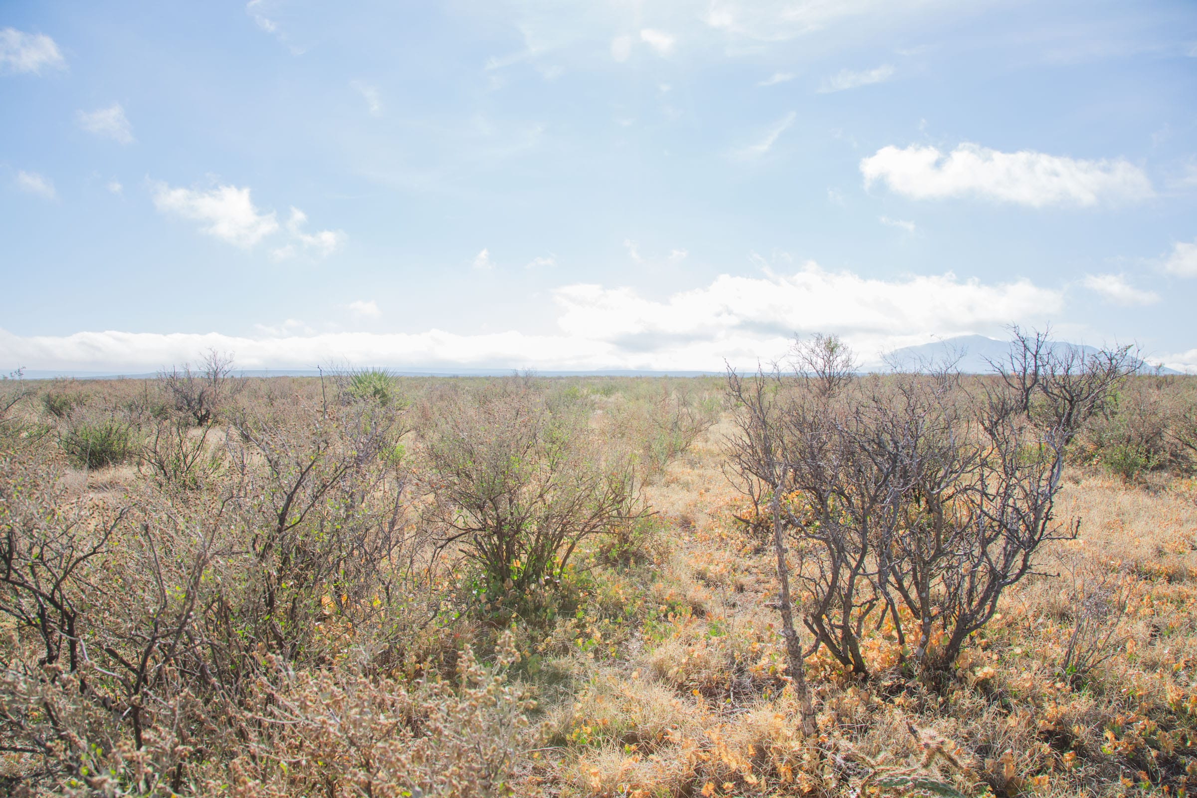 Sunset Ranches Tract 11 photo 3