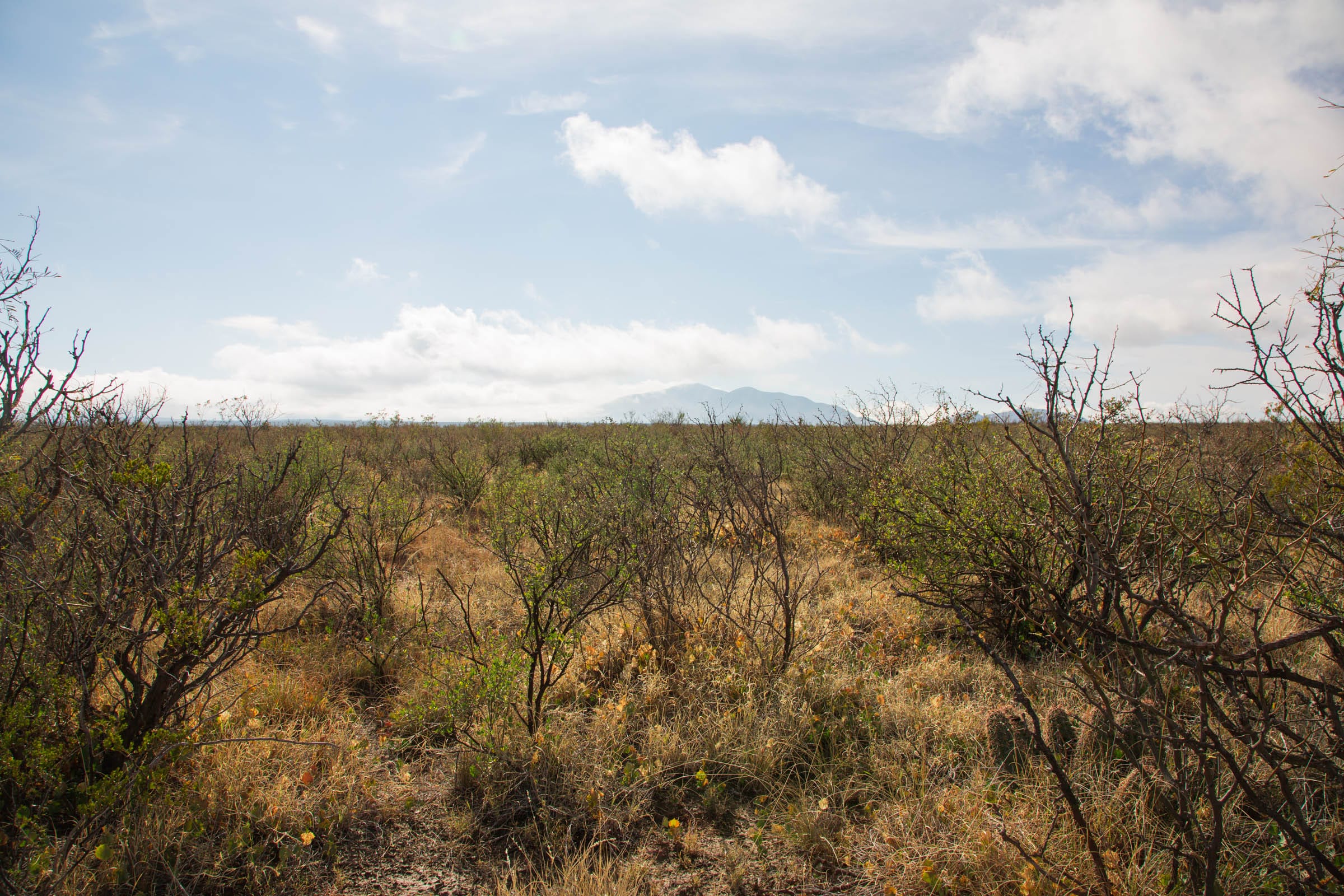 Sunset Ranches Tract 11 photo 4