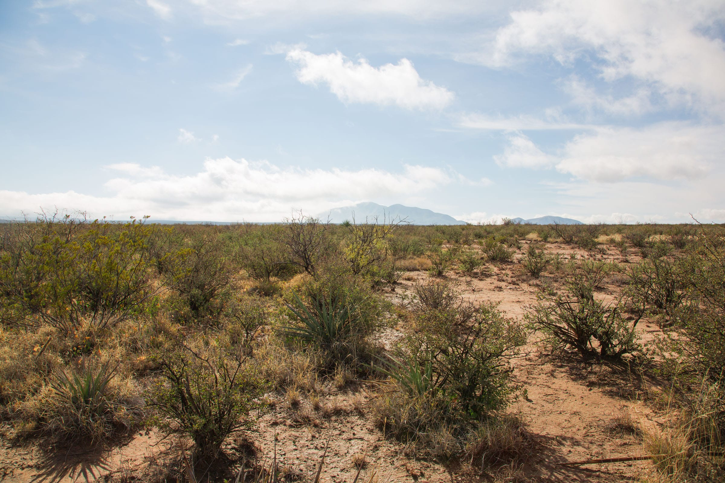 Sunset Ranches Tract 11 photo 6
