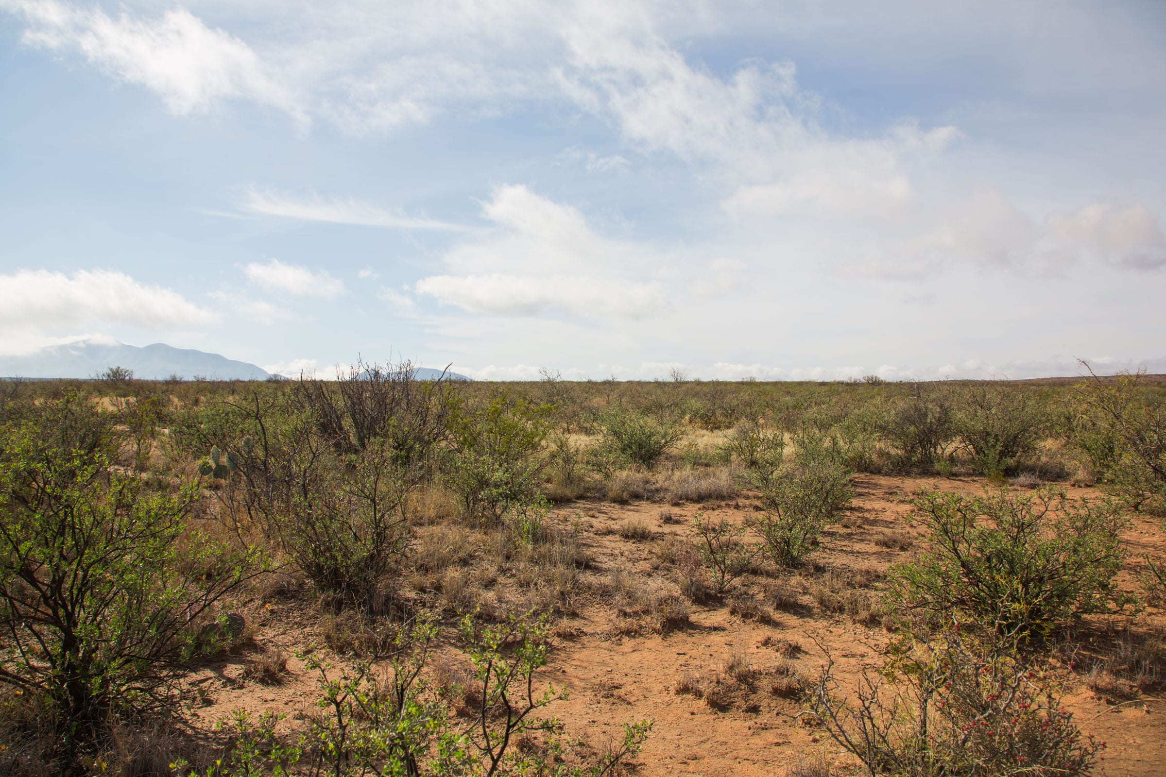 Sunset Ranches Tract 11 photo 9