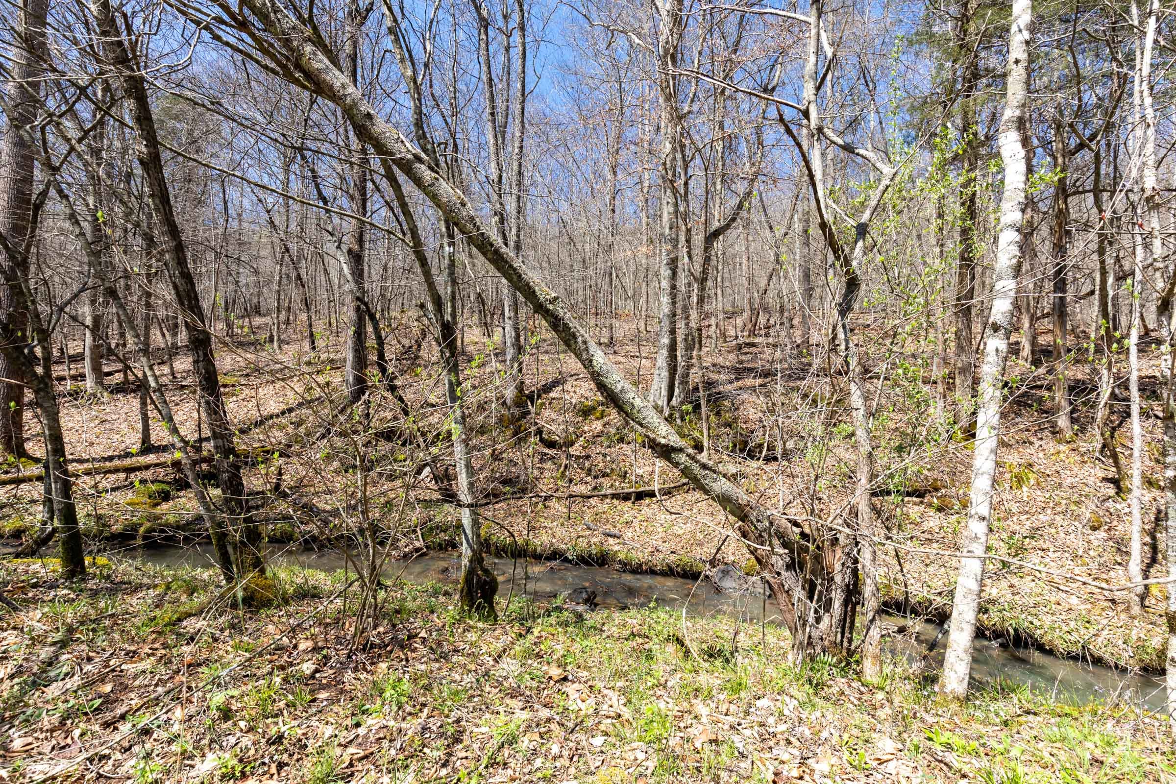 Woodland Heights Tract 6 photo 3