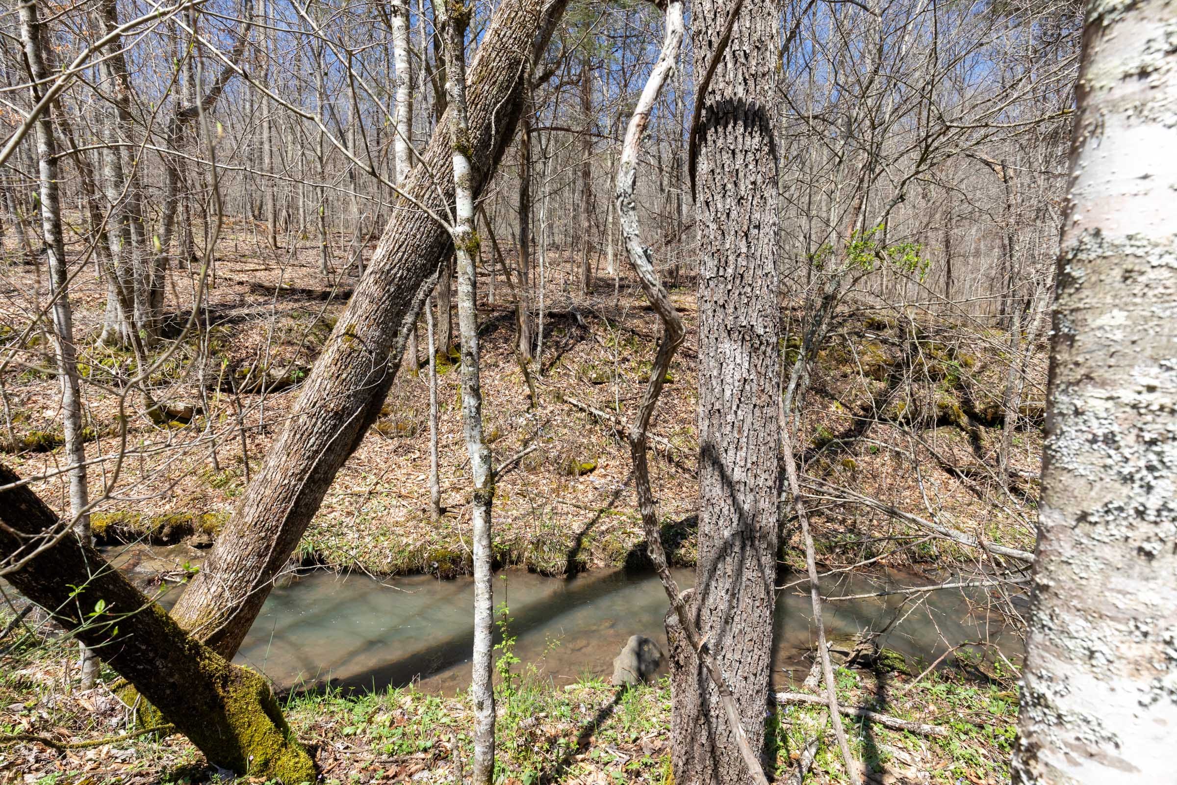 Woodland Heights Tract 6 photo 2