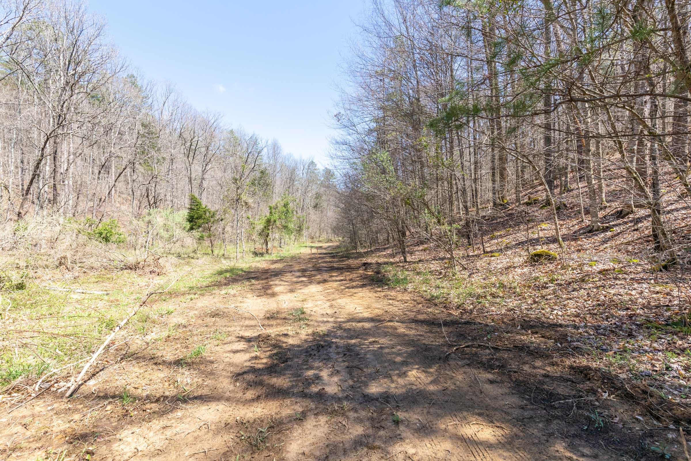 Woodland Heights Tract 6 photo 1